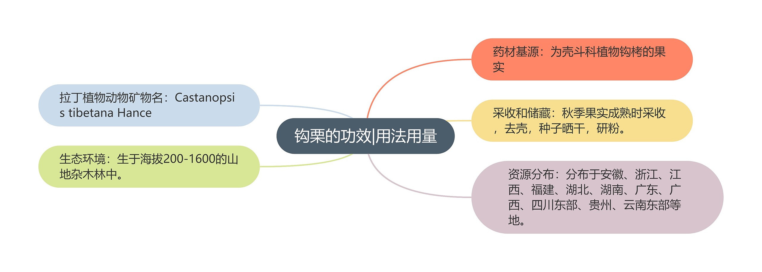 钩栗的功效|用法用量思维导图