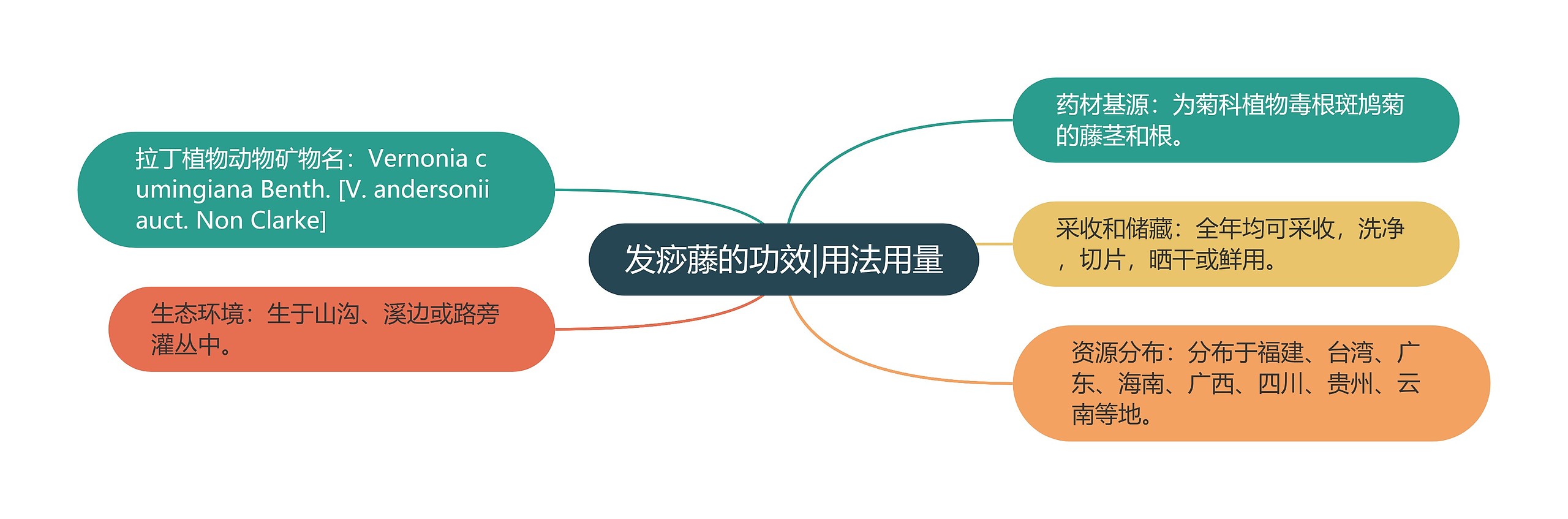 发痧藤的功效|用法用量 发痧藤的功效|用法用量