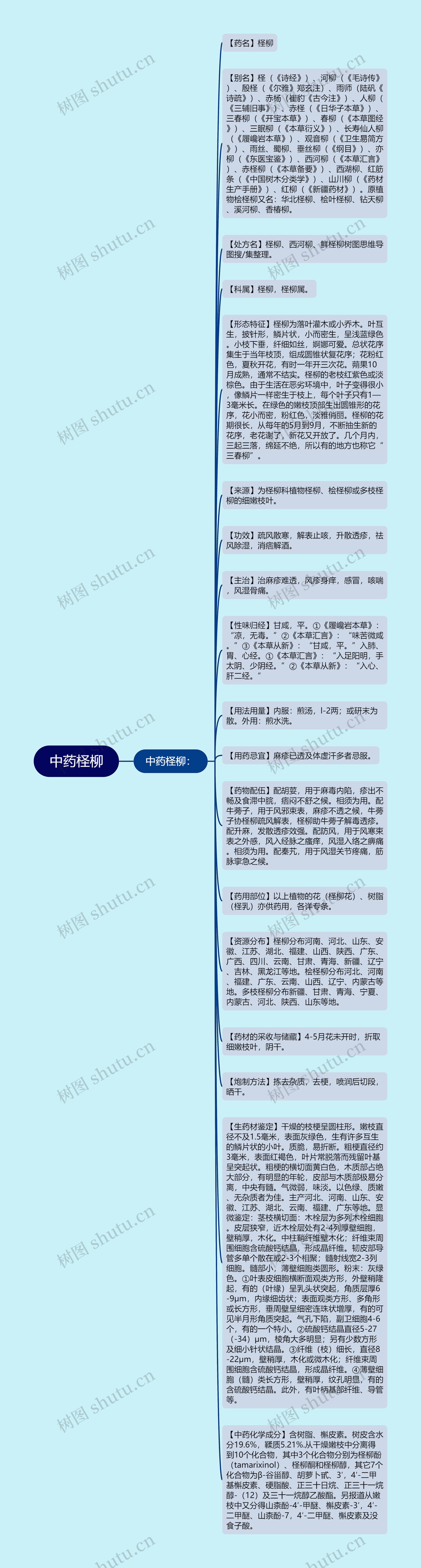 中药柽柳思维导图