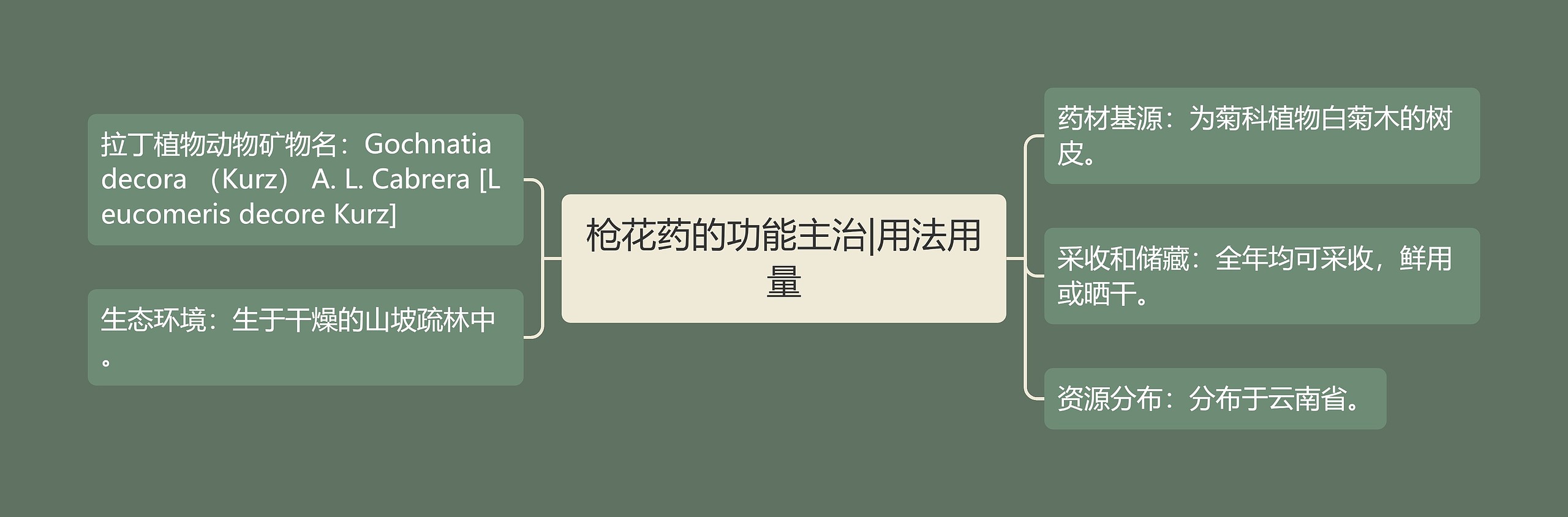 枪花药的功能主治|用法用量