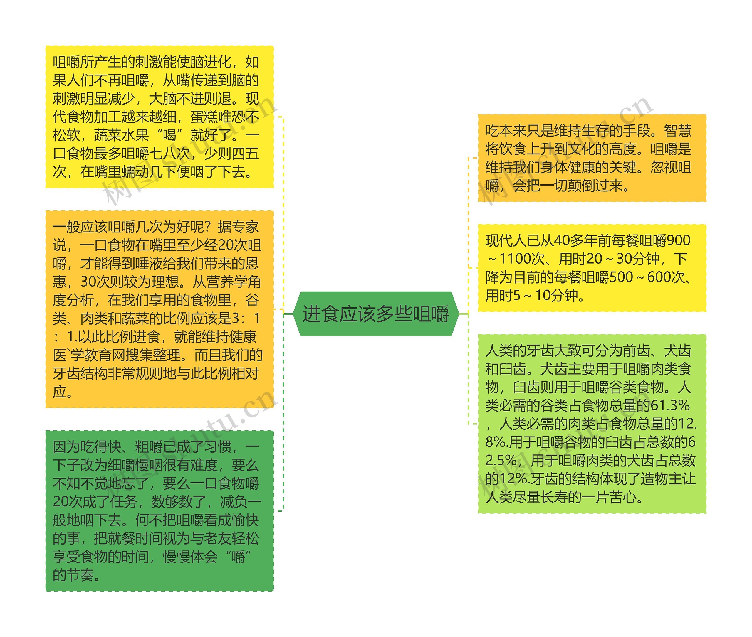 进食应该多些咀嚼