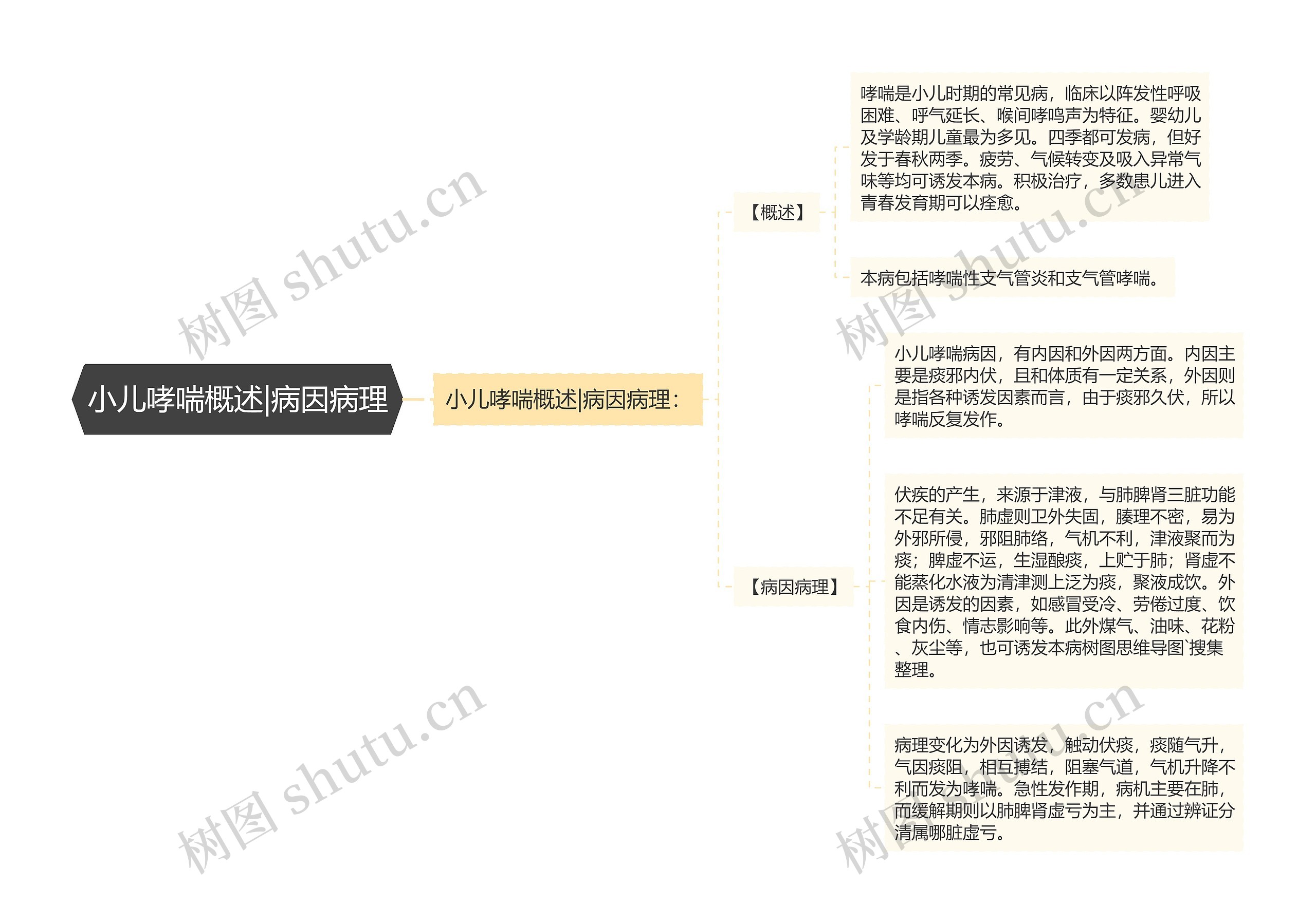 小儿哮喘概述|病因病理思维导图