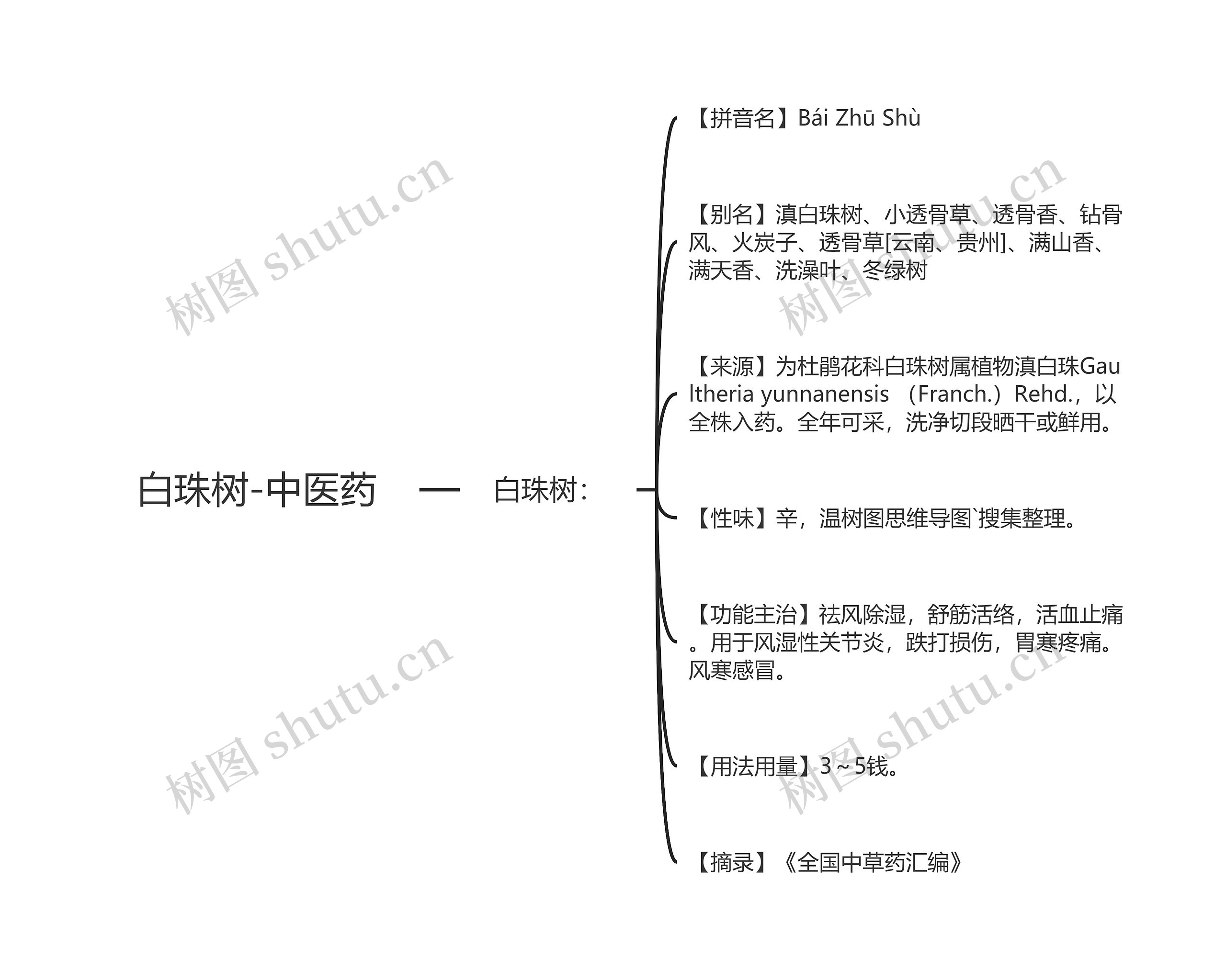 白珠树-中医药思维导图