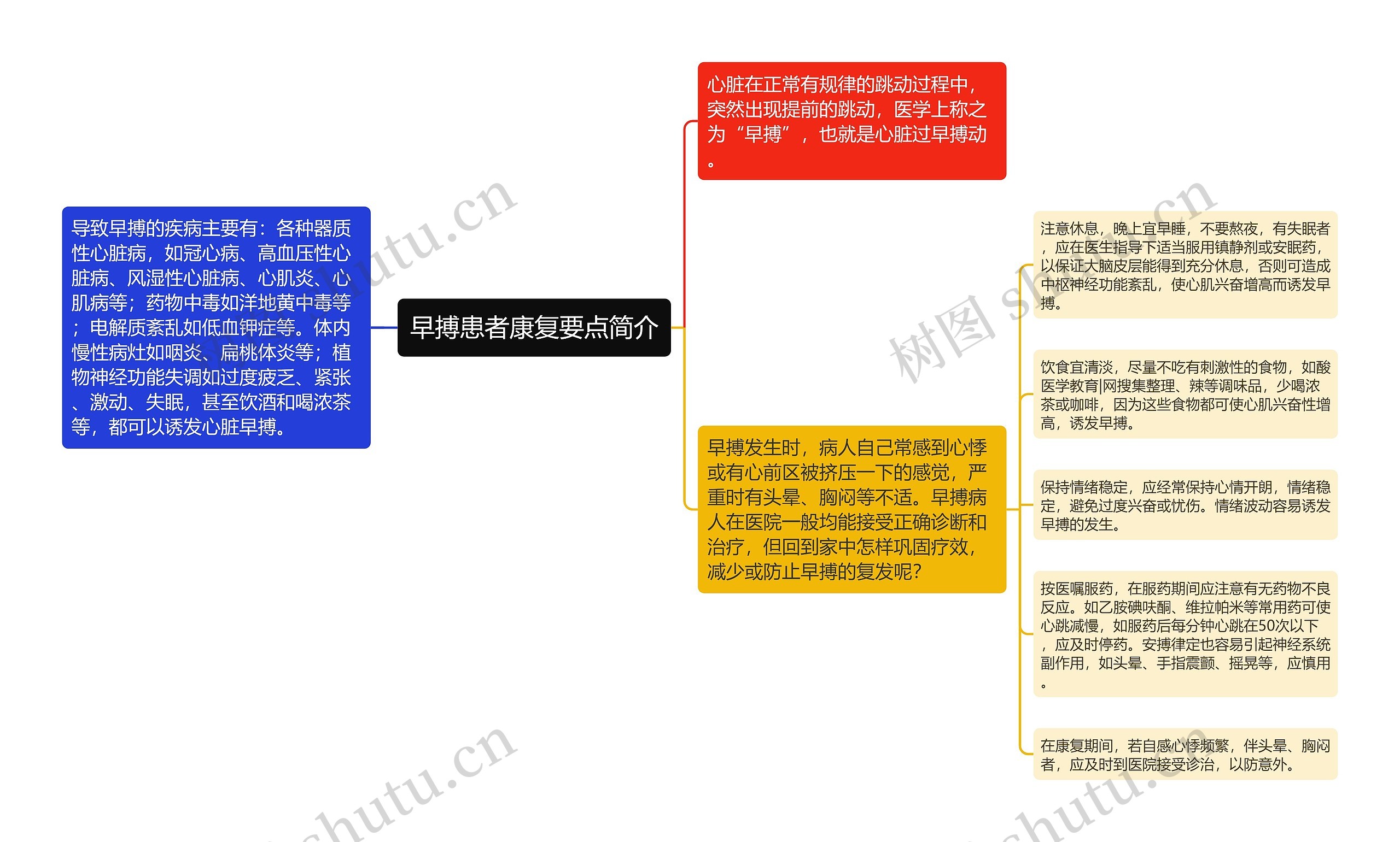 早搏患者康复要点简介思维导图