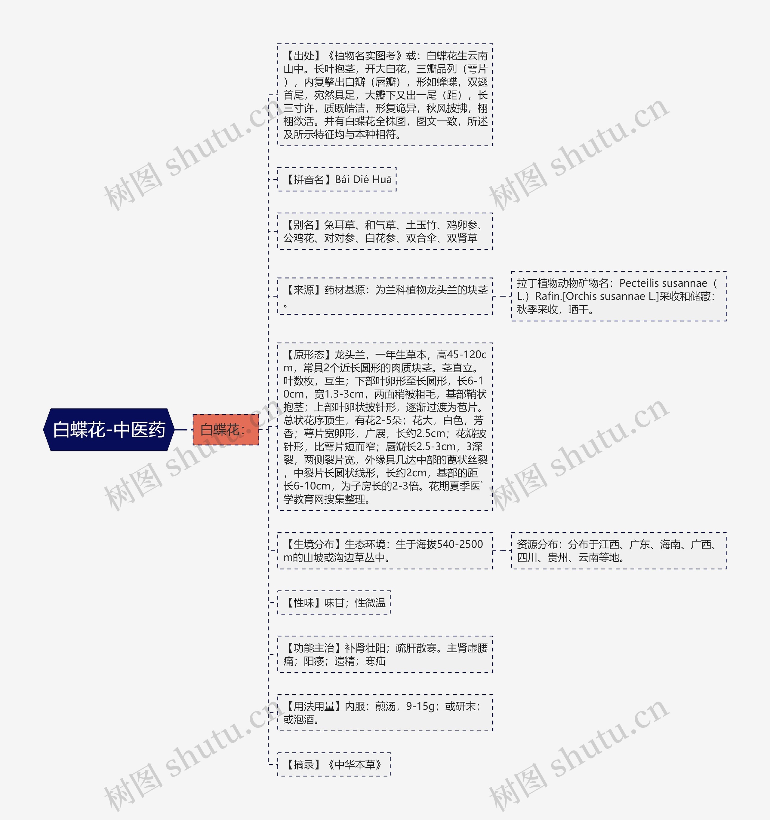 白蝶花-中医药思维导图