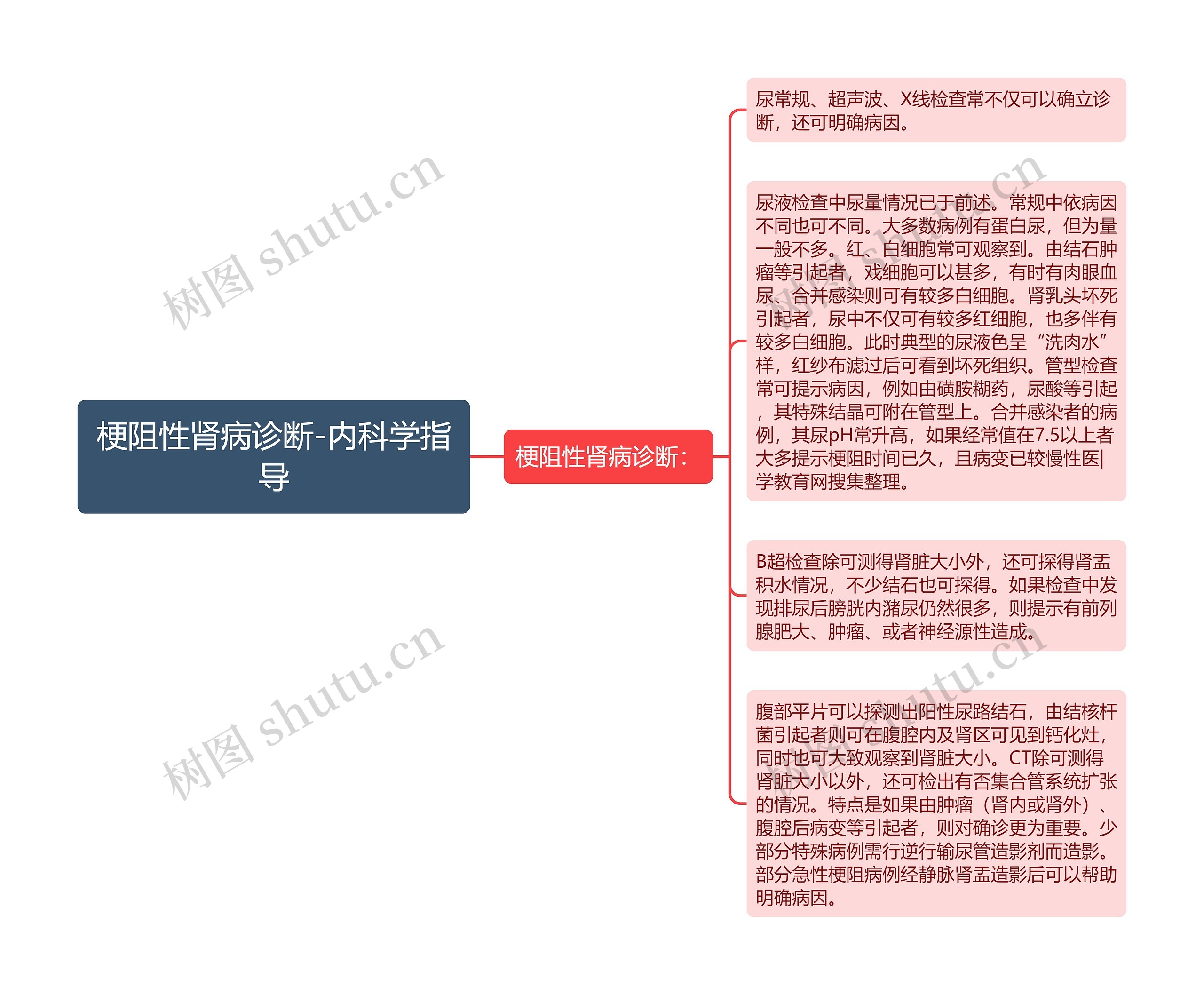 梗阻性肾病诊断-内科学指导