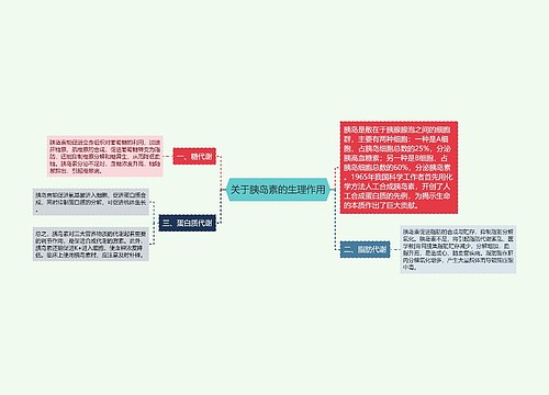 关于胰岛素的生理作用