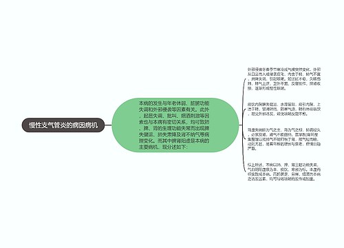 慢性支气管炎的病因病机