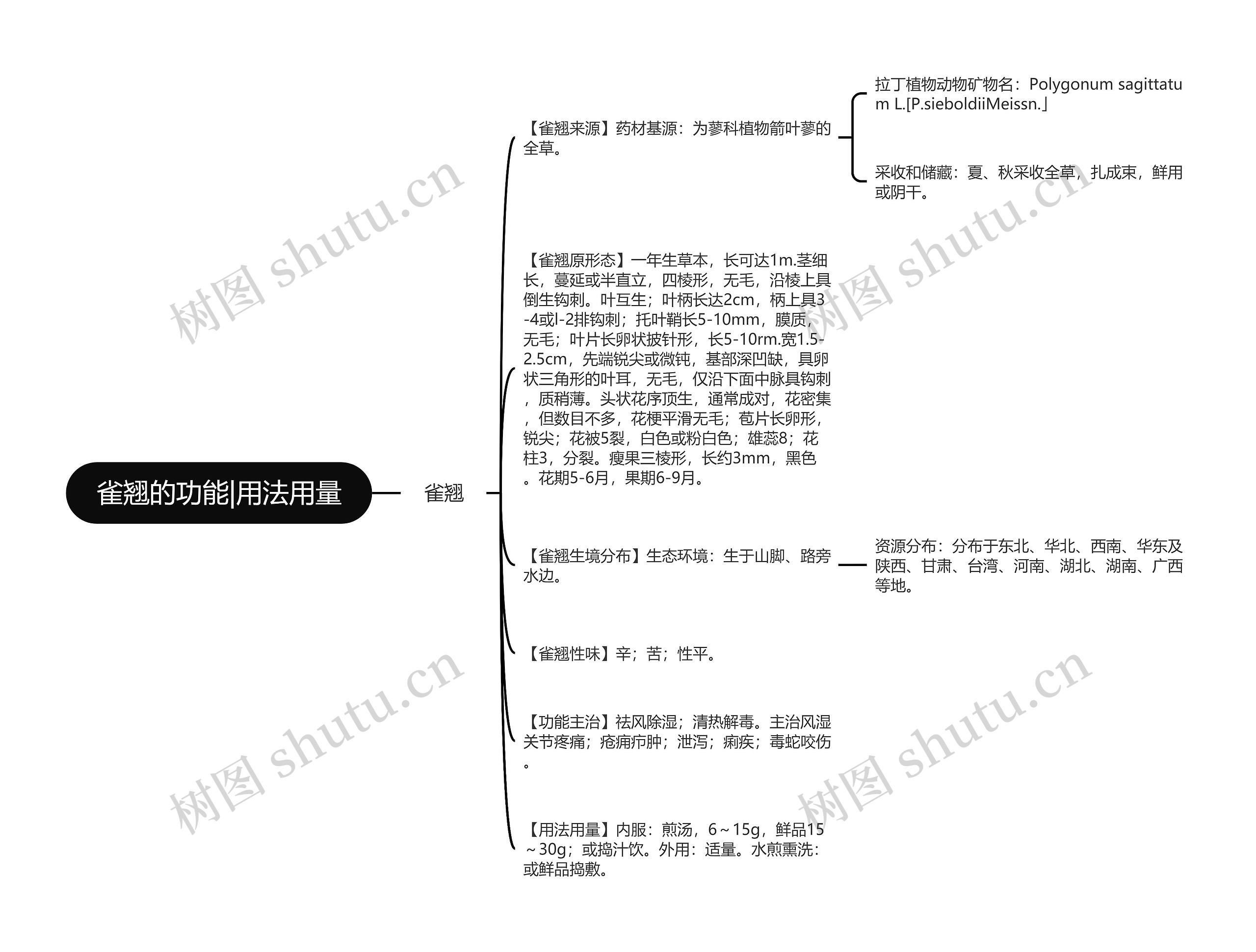 雀翘的功能|用法用量 雀翘的功能|用法用量