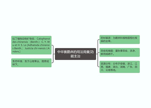 中华赛爵床的用法用量|功能主治