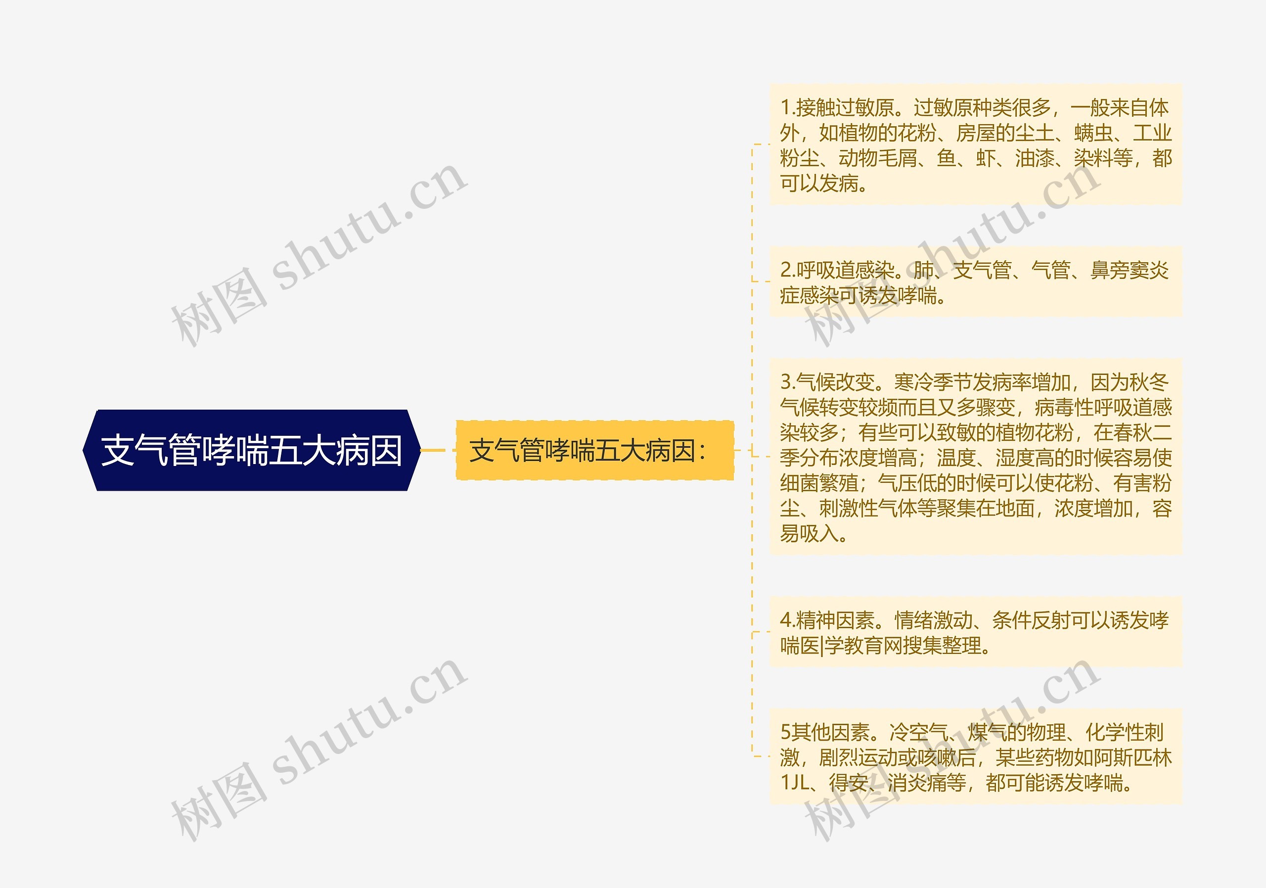 支气管哮喘五大病因思维导图