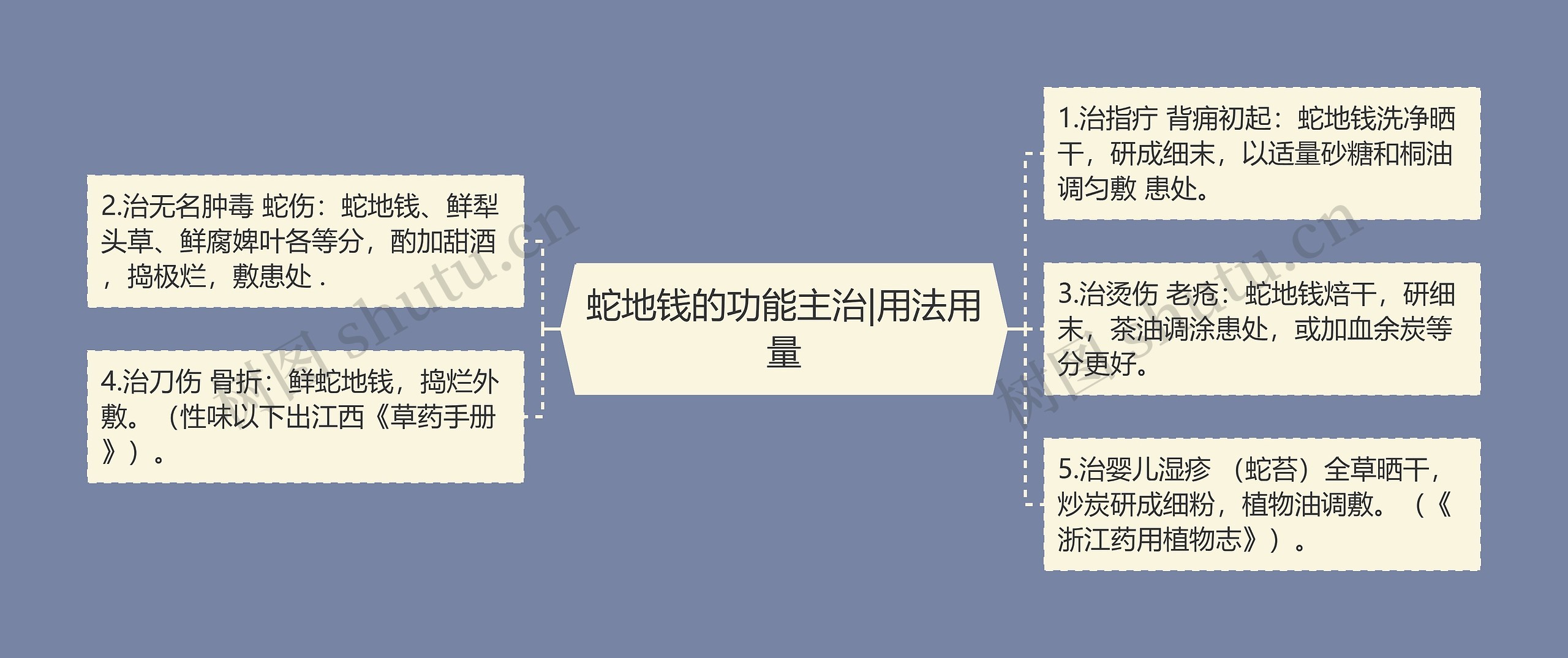 蛇地钱的功能主治|用法用量 蛇地钱的功能主治|用法用量