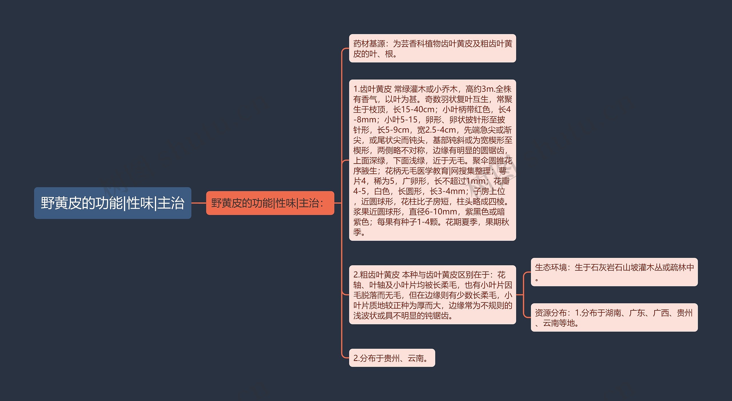 野黄皮的功能|性味|主治思维导图