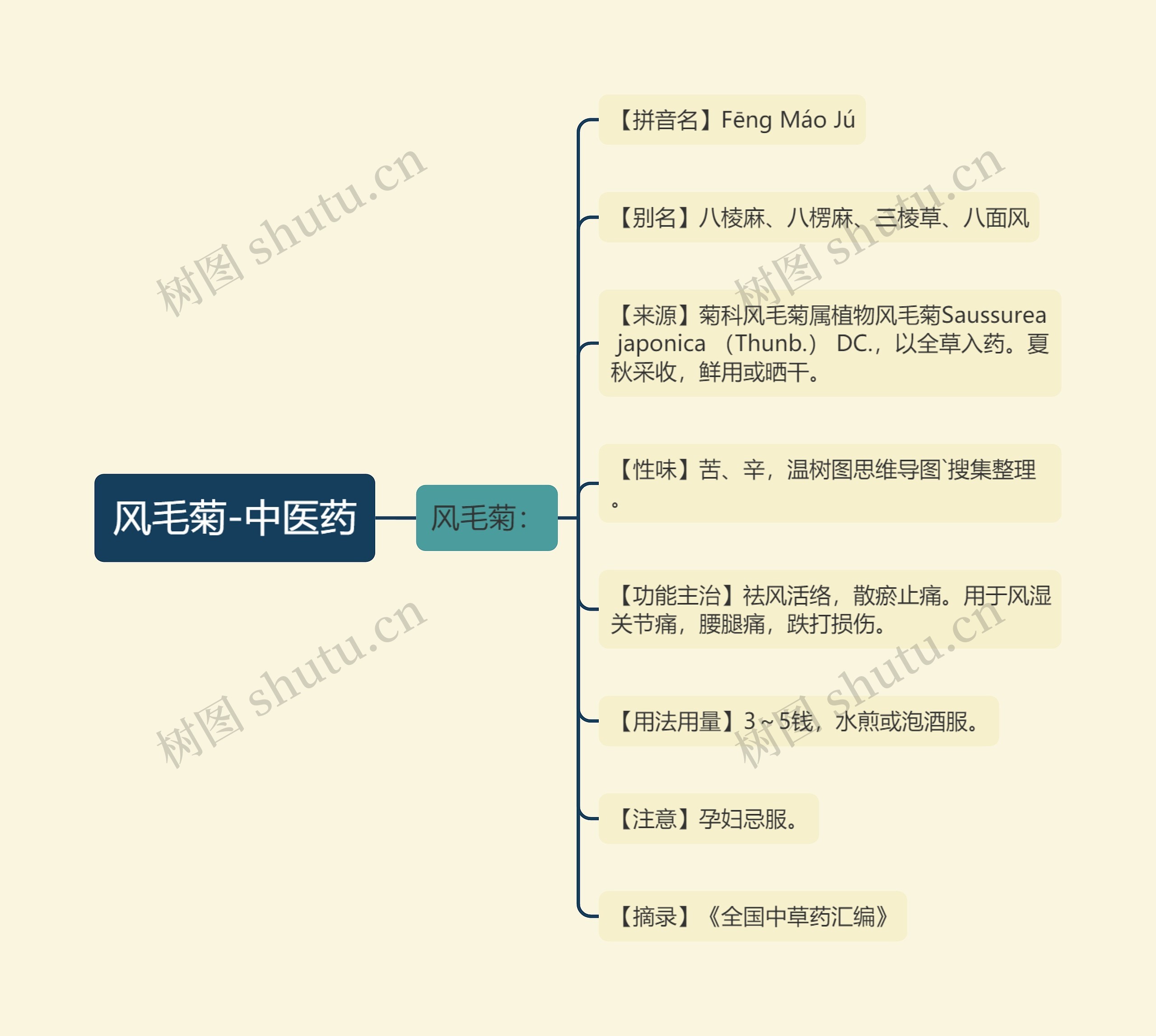 风毛菊-中医药 风毛菊-中医药