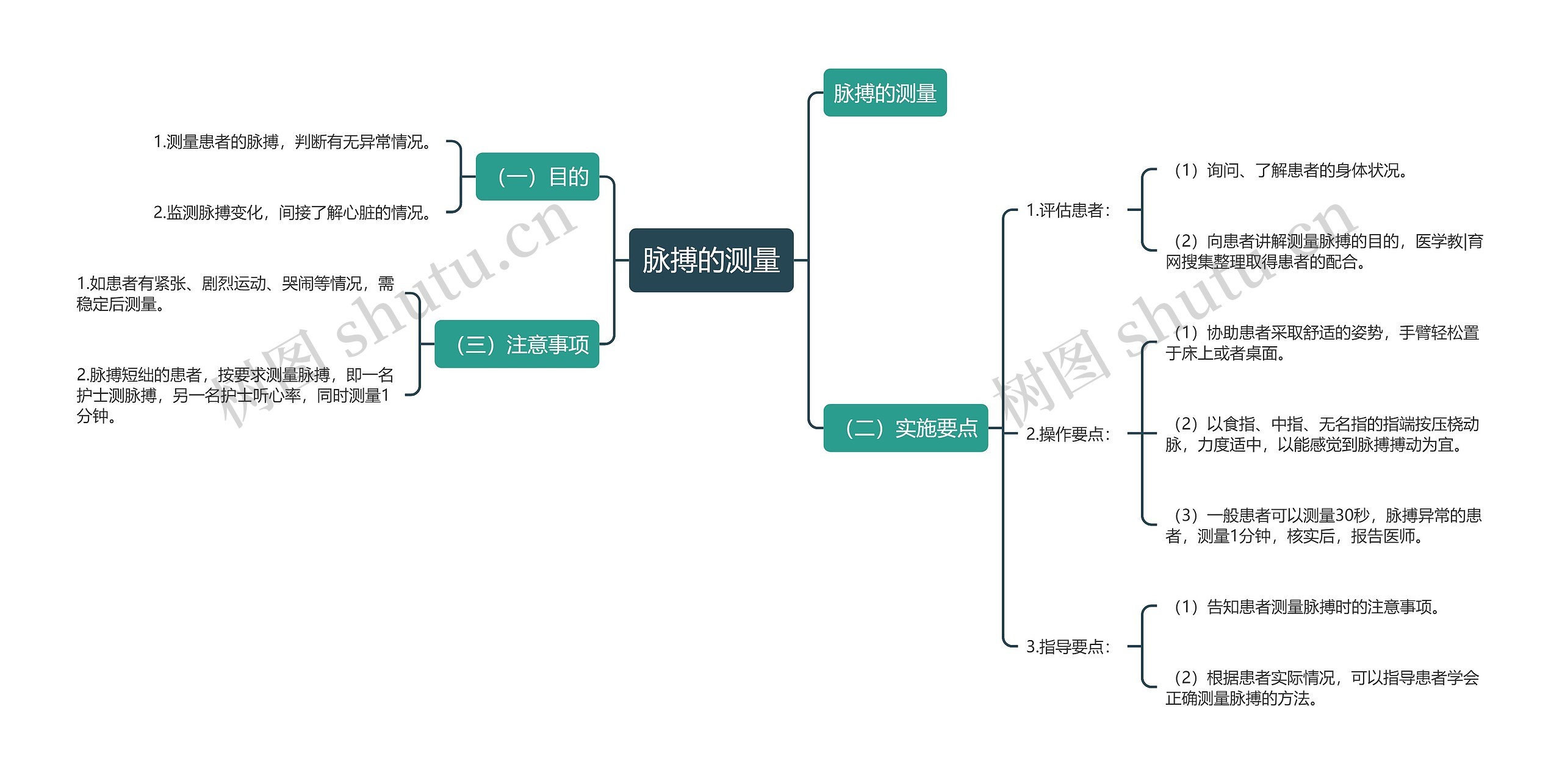 脉搏的测量思维导图