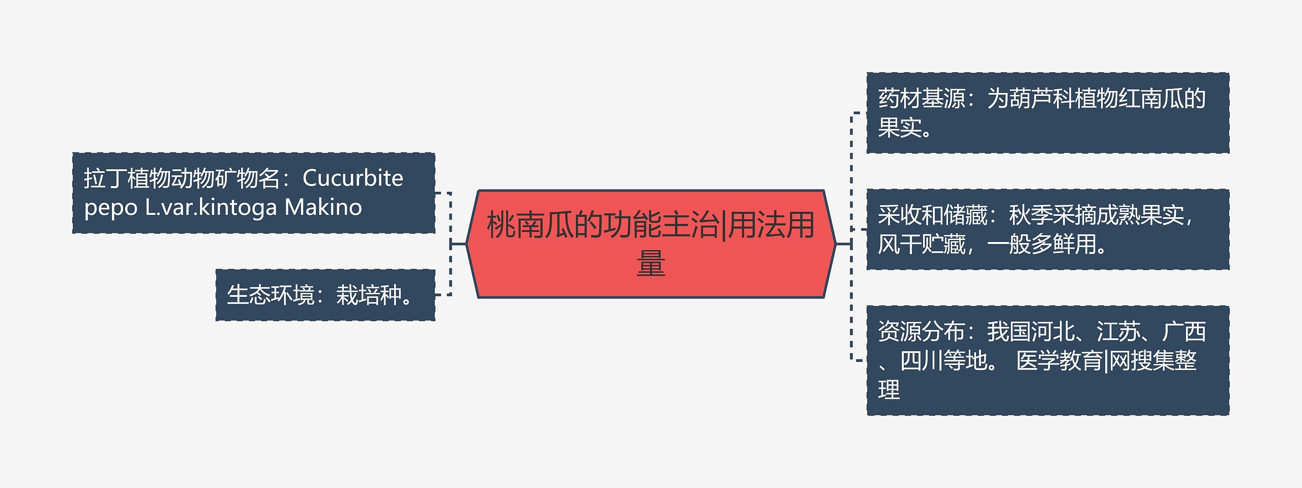 桃南瓜的功能主治|用法用量