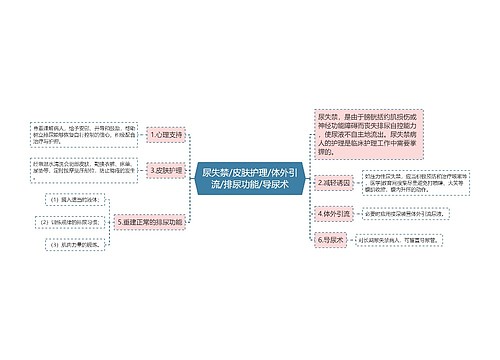 尿失禁/皮肤护理/体外引流/排尿功能/导尿术