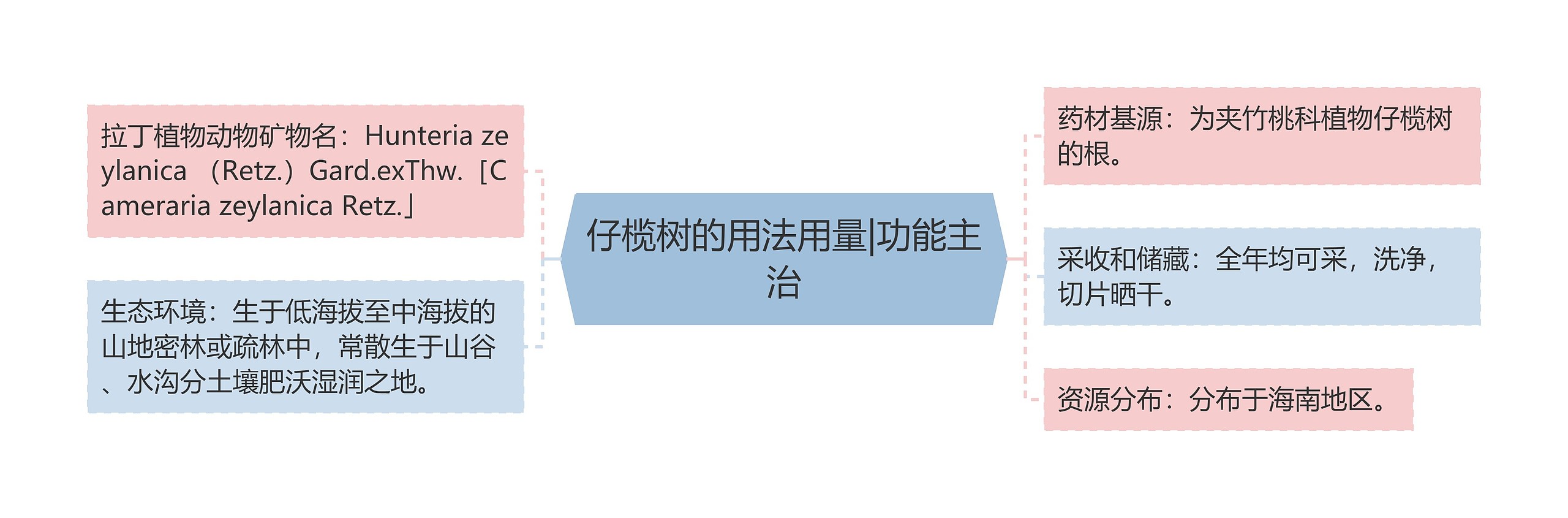 仔榄树的用法用量|功能主治 仔榄树的用法用量|功能主治