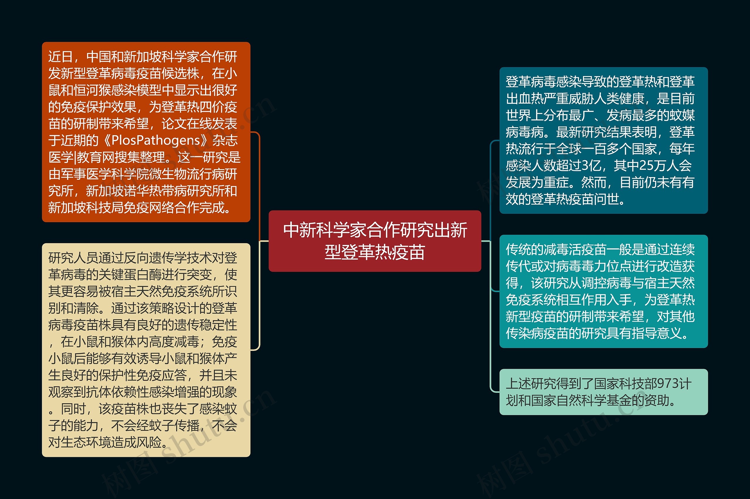 中新科学家合作研究出新型登革热疫苗