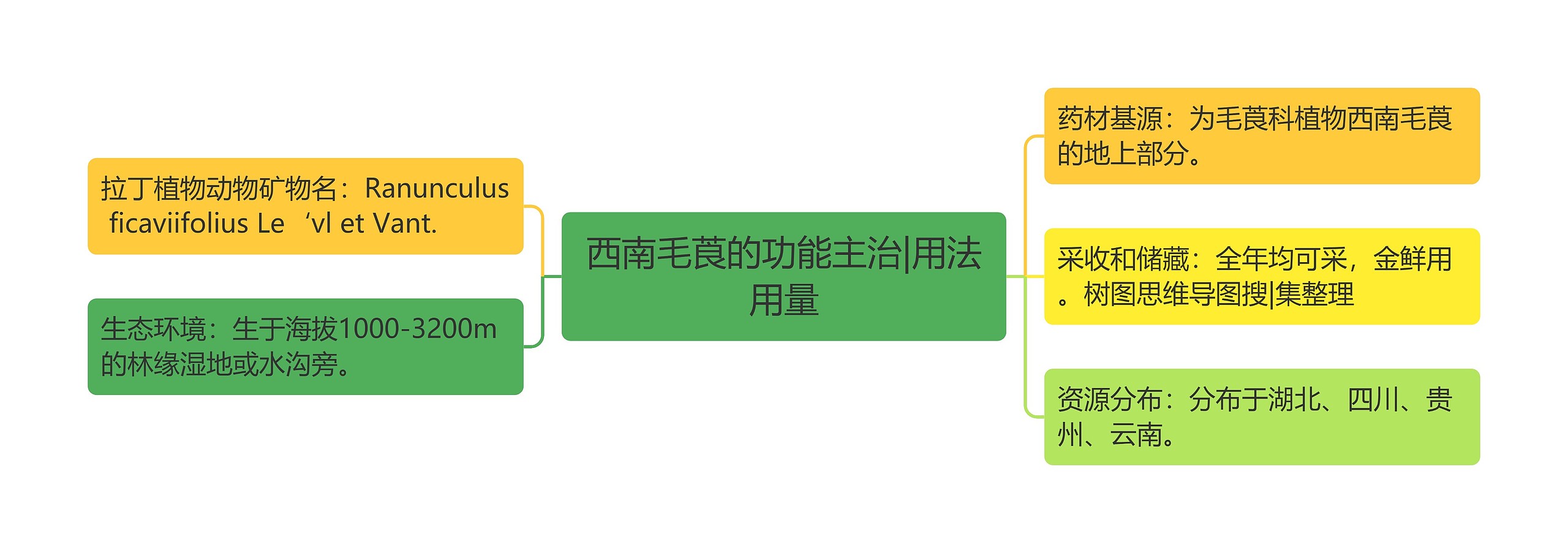 西南毛莨的功能主治|用法用量 西南毛莨的功能主治|用法用量