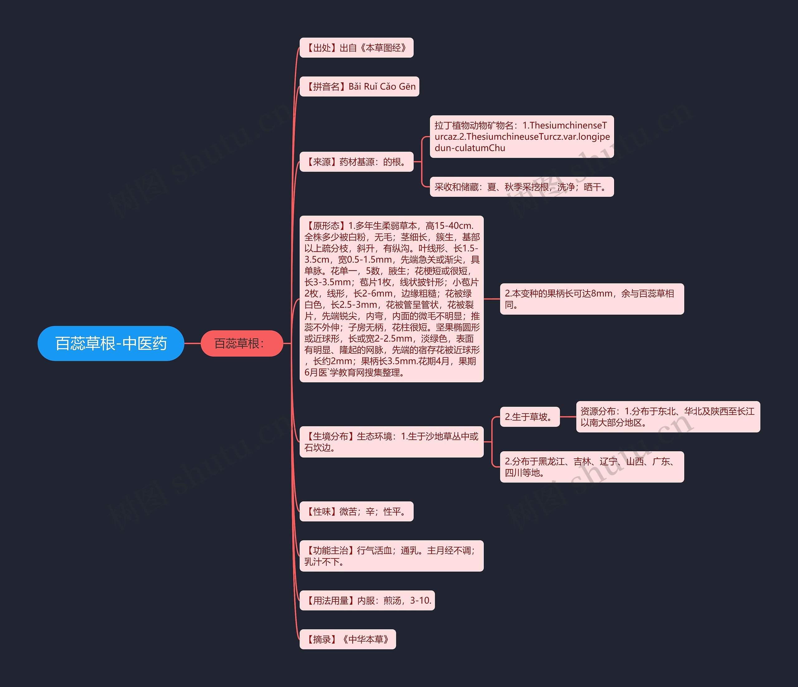 百蕊草根-中医药 百蕊草根-中医药