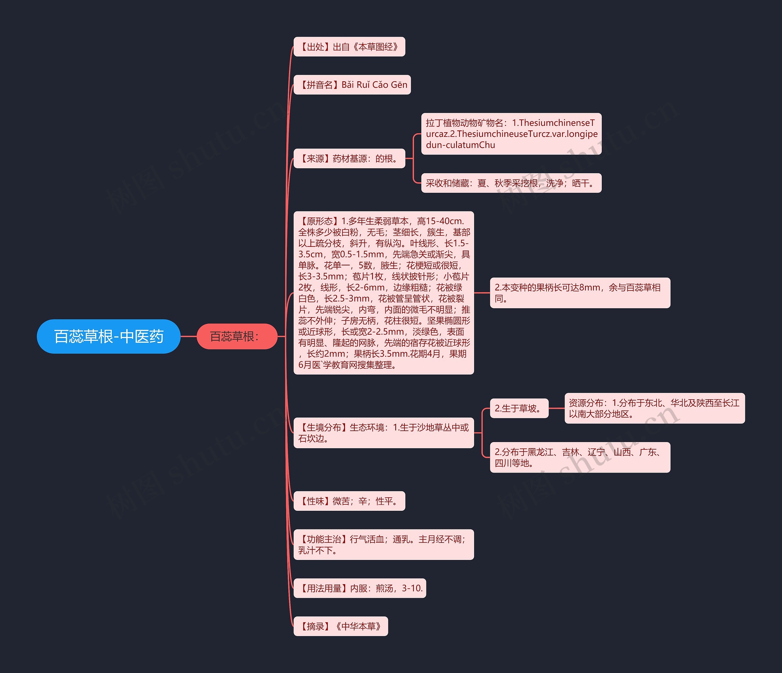 百蕊草根-中医药思维导图