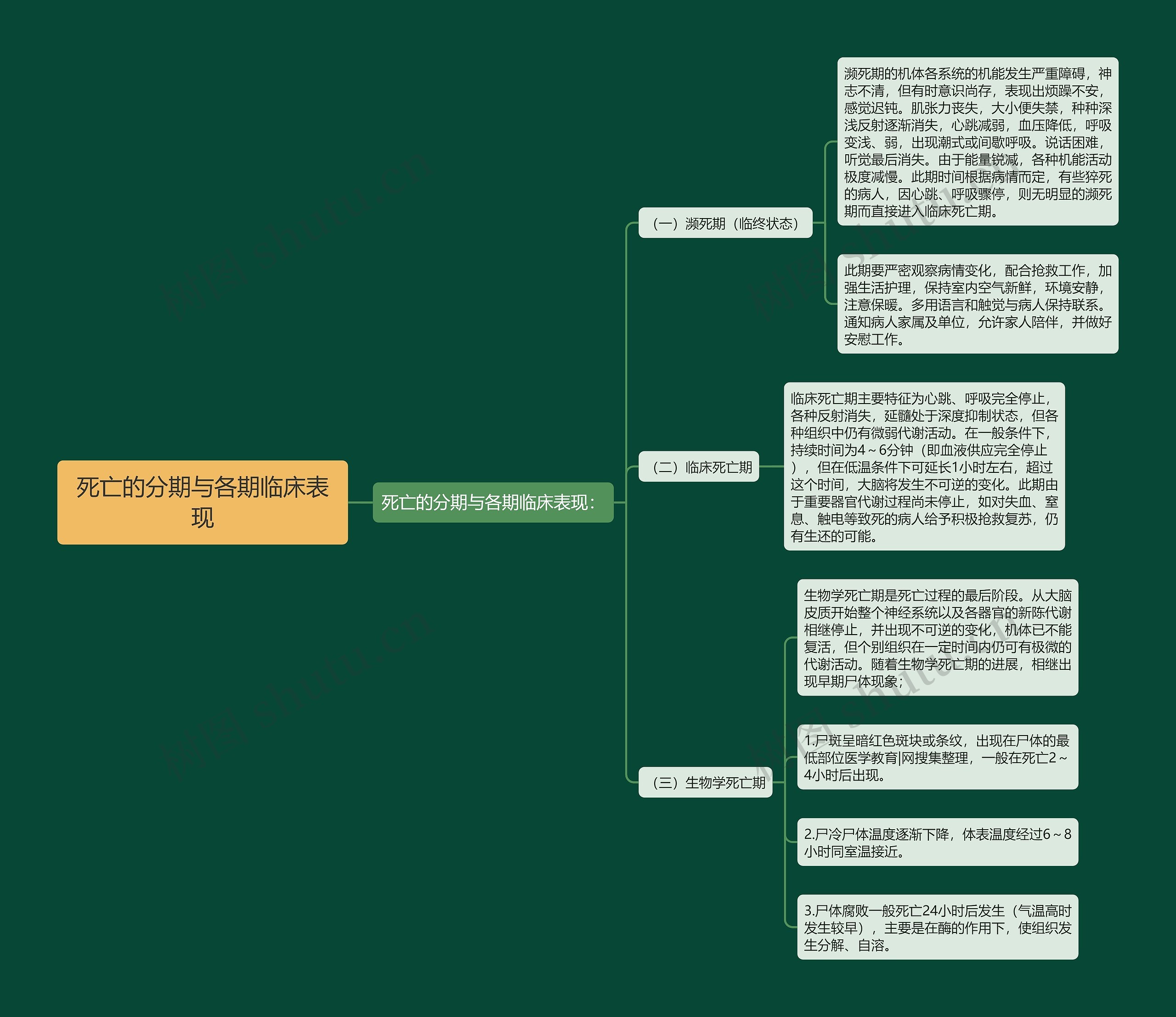 死亡的分期与各期临床表现思维导图