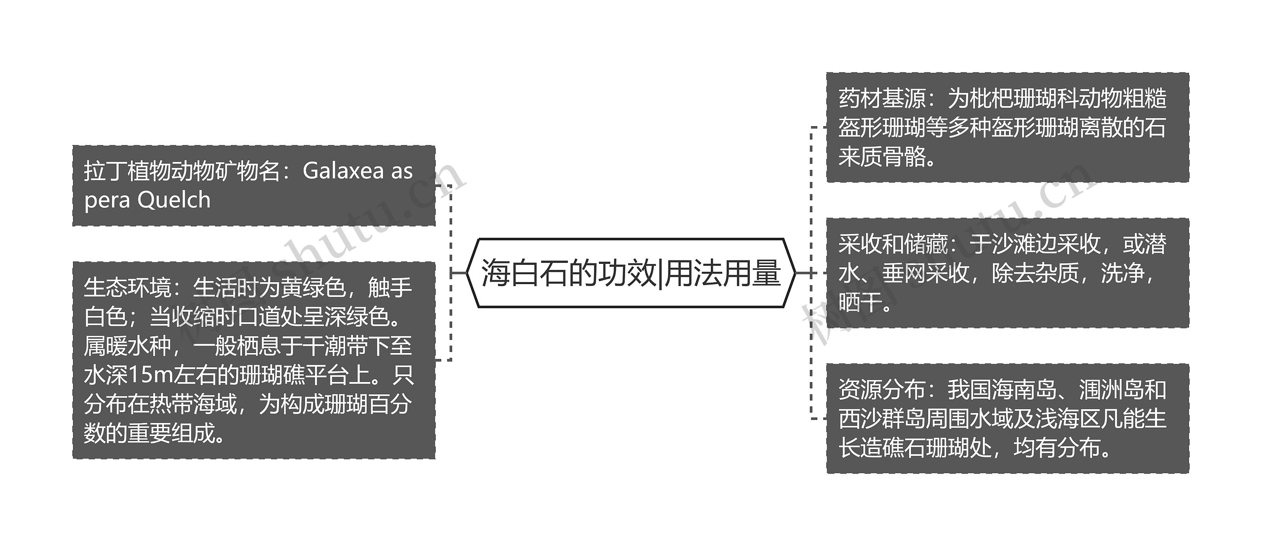 海白石的功效|用法用量思维导图