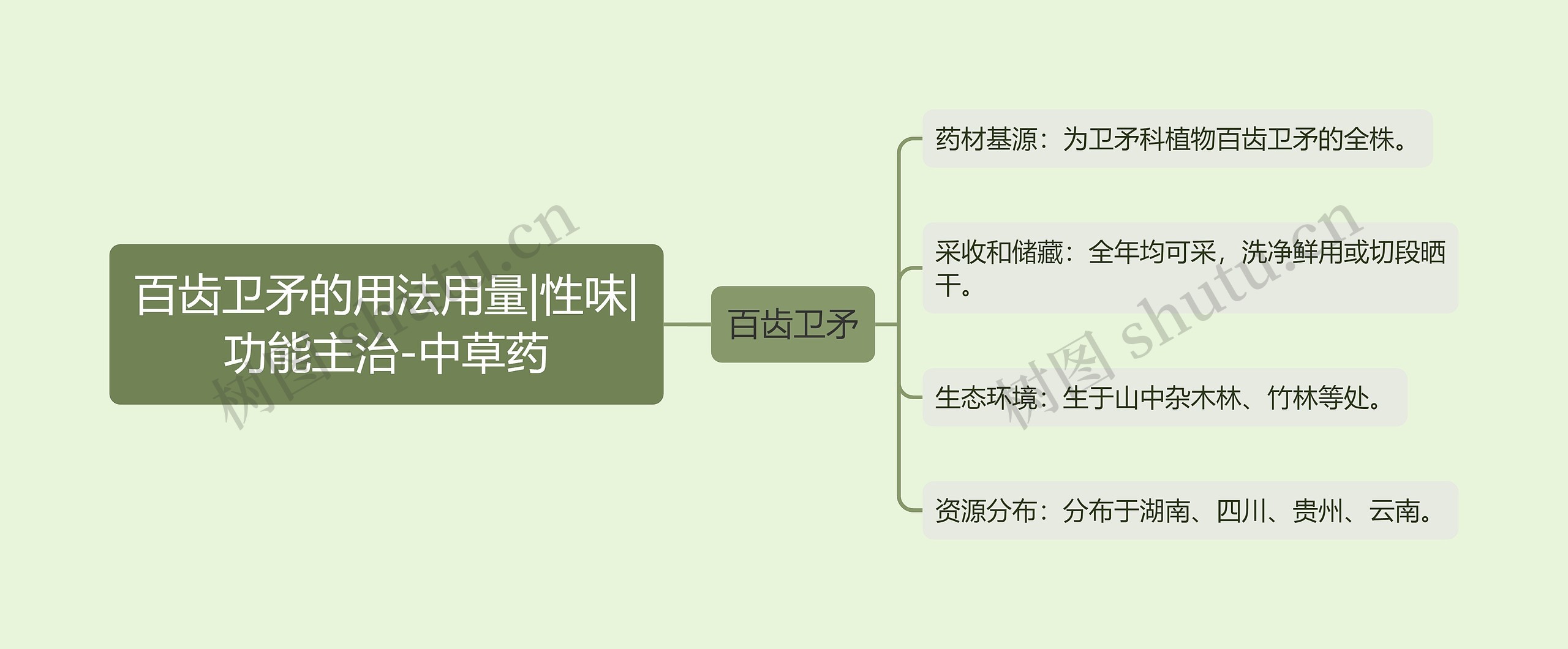 百齿卫矛的用法用量|性味|功能主治-中草药思维导图