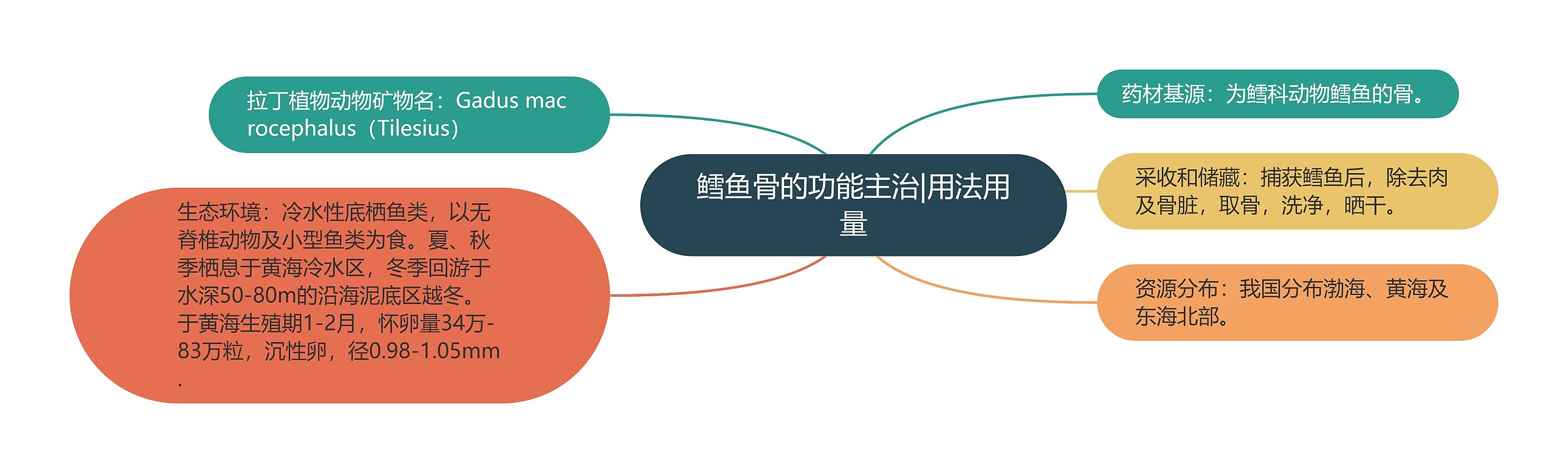 鳕鱼骨的功能主治|用法用量