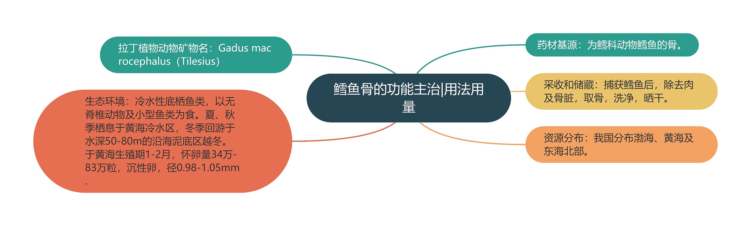 鳕鱼骨的功能主治|用法用量思维导图