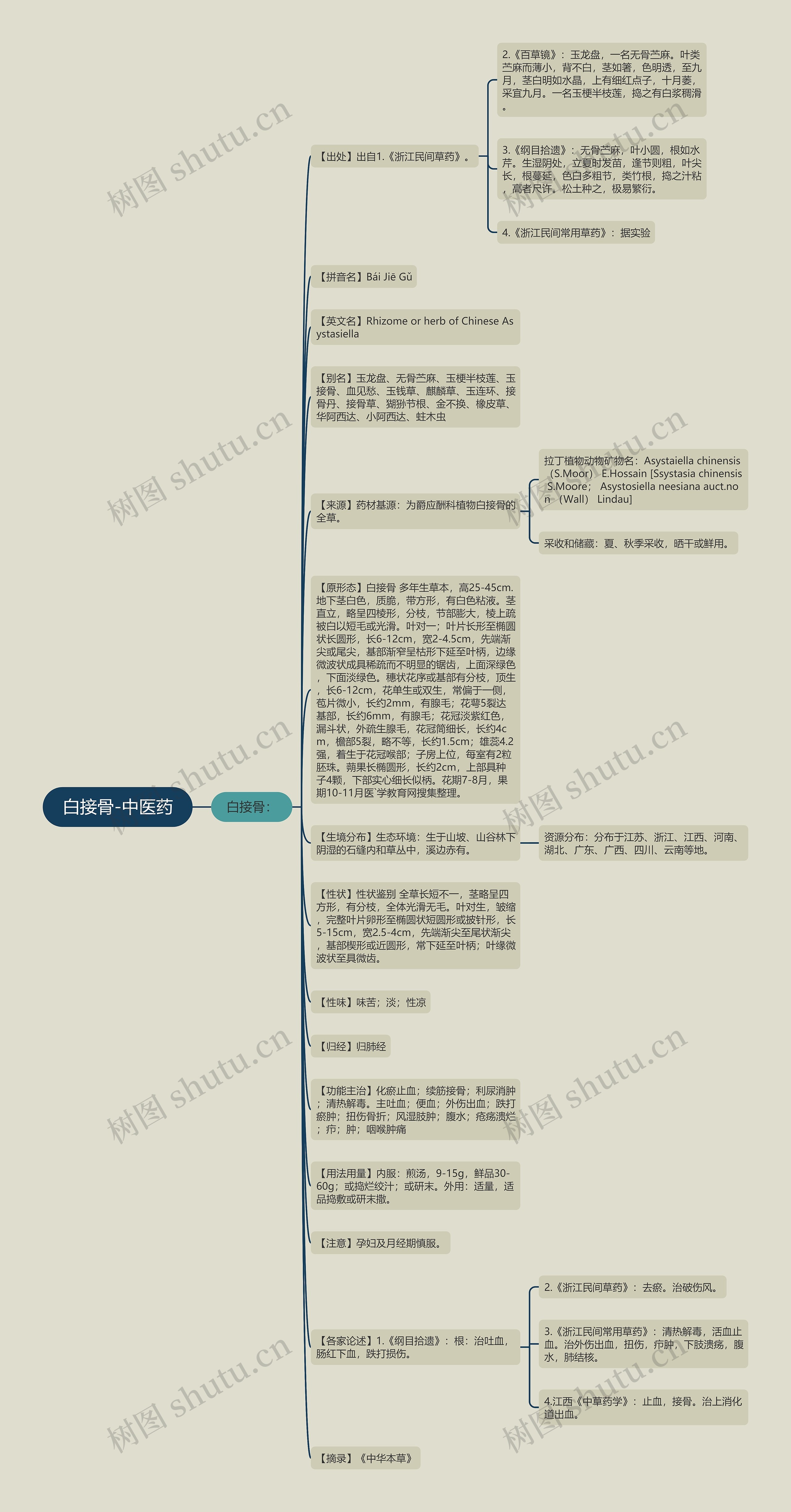 白接骨-中医药思维导图