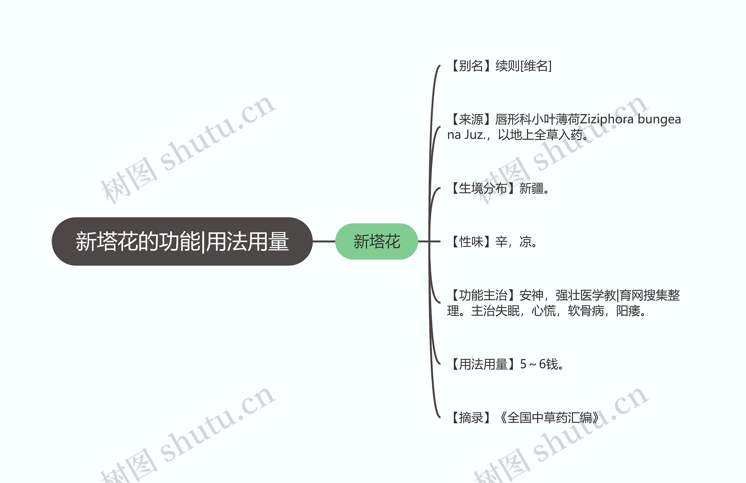 新塔花的功能|用法用量思维导图