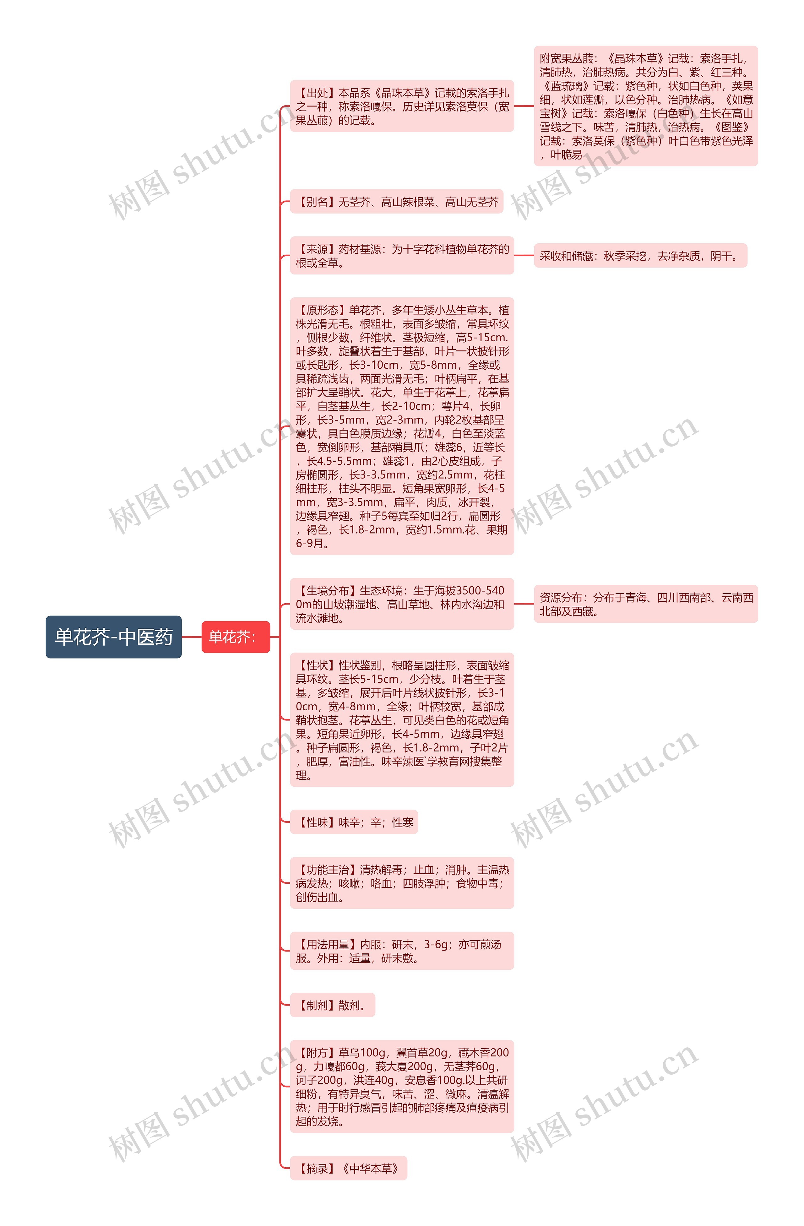 单花芥-中医药思维导图