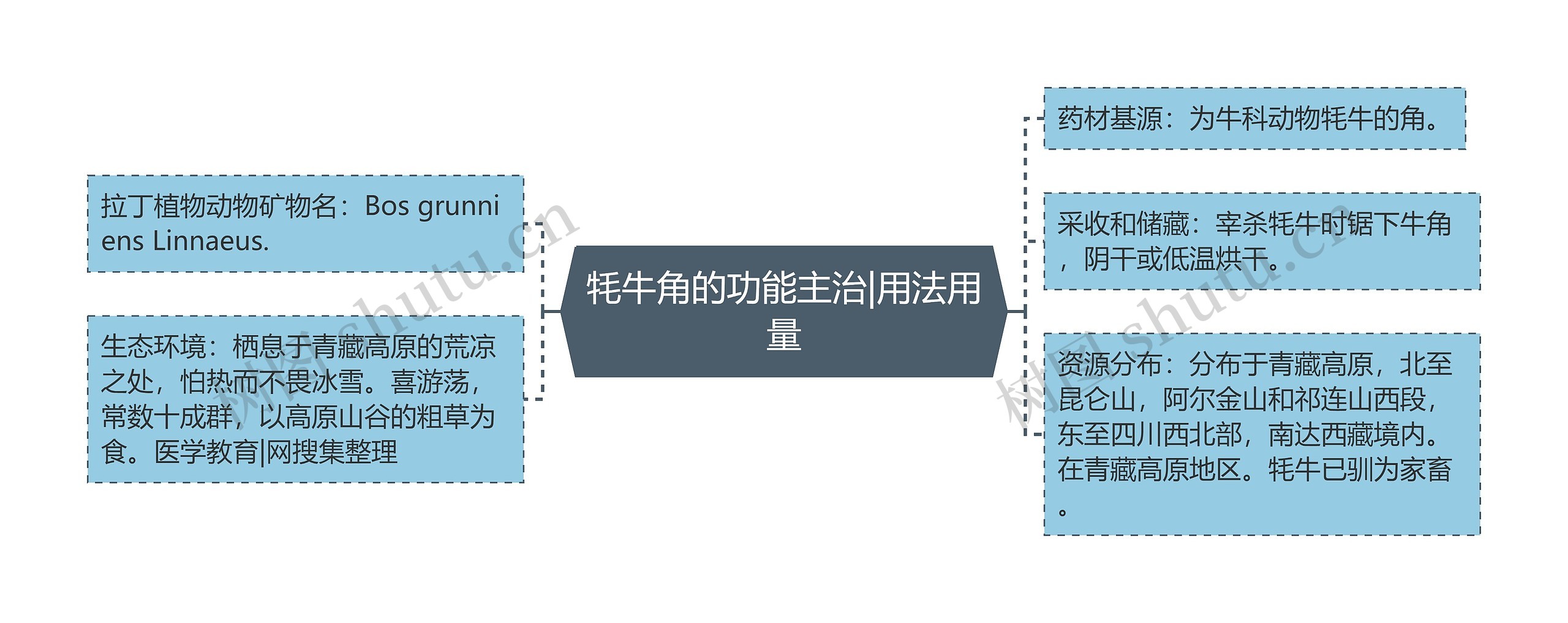 牦牛角的功能主治|用法用量思维导图