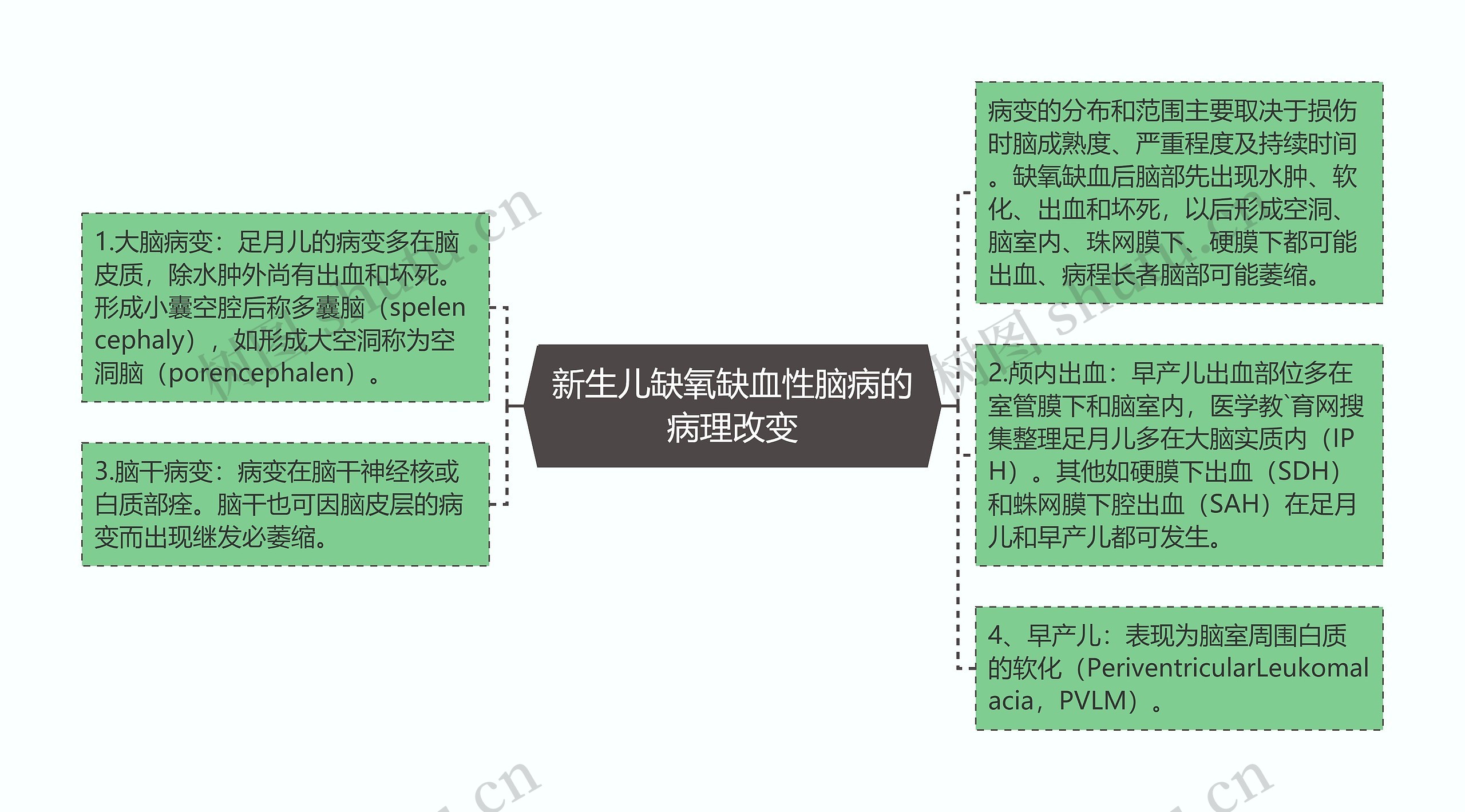 新生儿缺氧缺血性脑病的病理改变思维导图