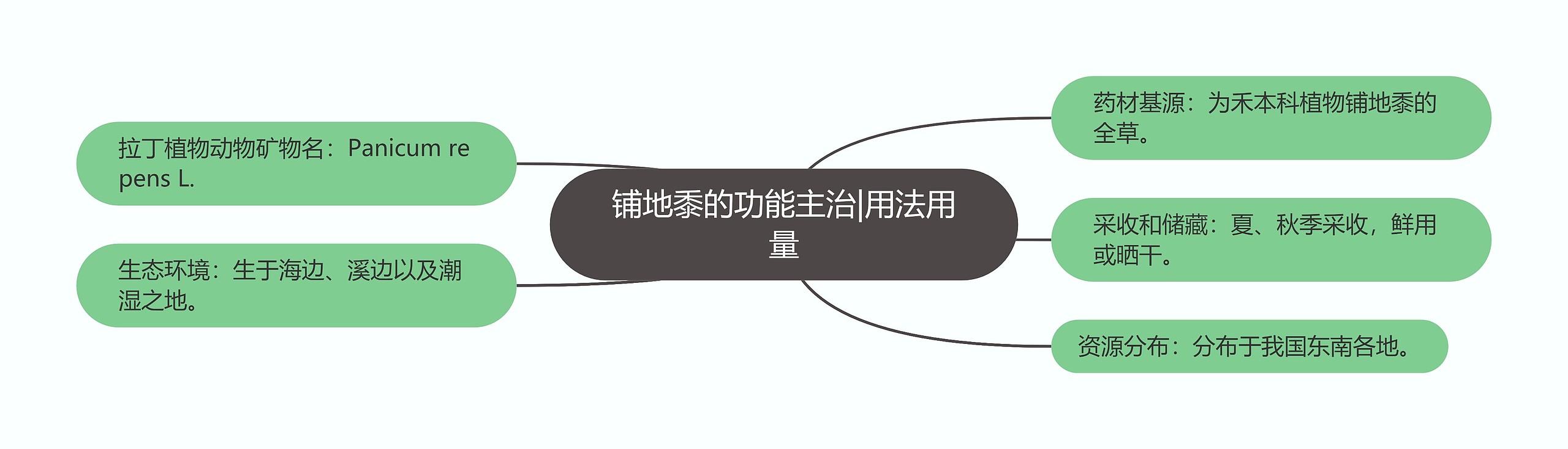 铺地黍的功能主治|用法用量 铺地黍的功能主治|用法用量