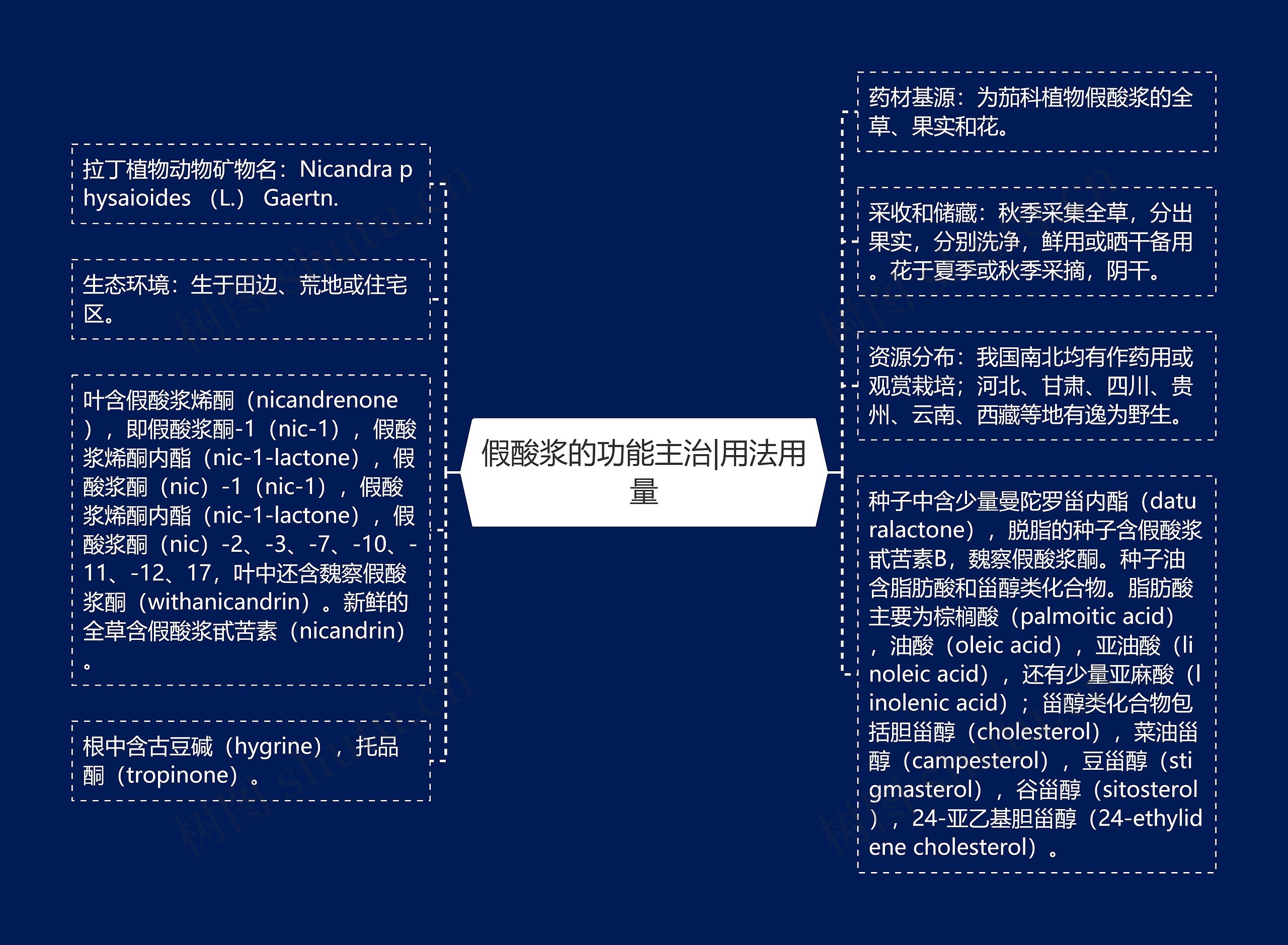 假酸浆的功能主治|用法用量思维导图