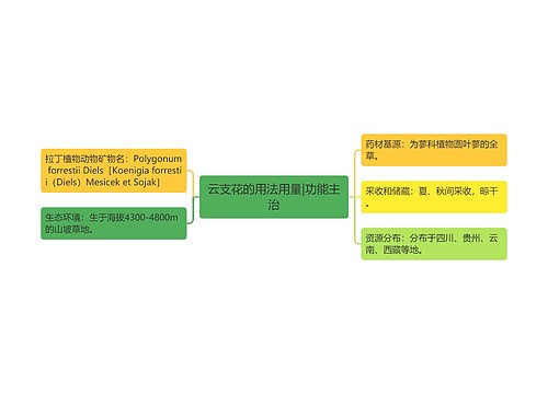 云支花的用法用量|功能主治