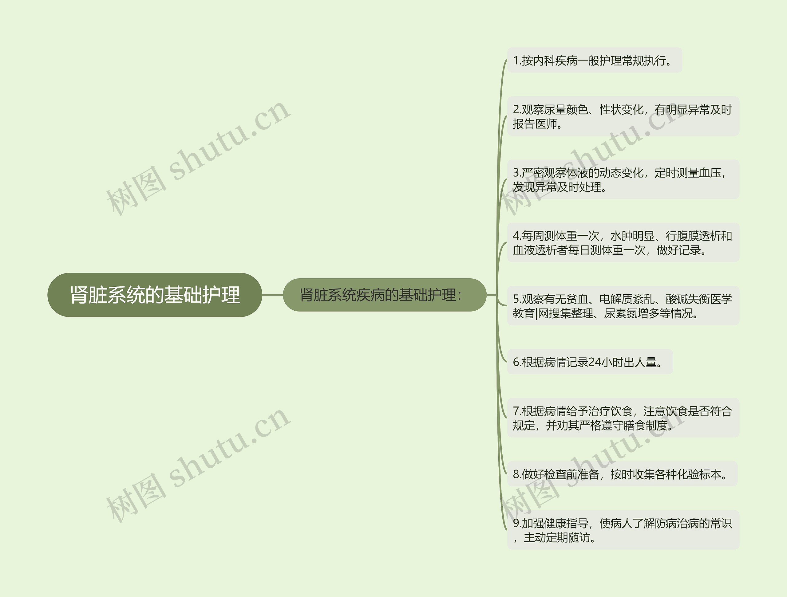 肾脏系统的基础护理 肾脏系统的基础护理