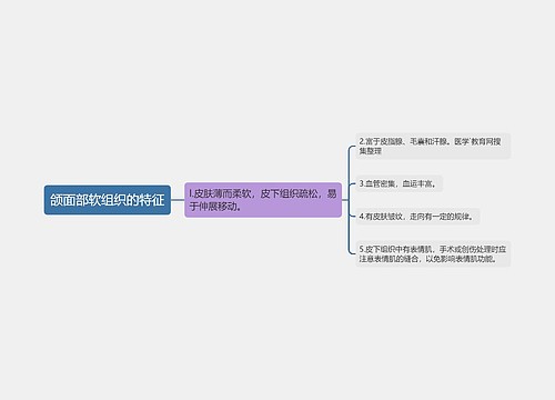 颌面部软组织的特征