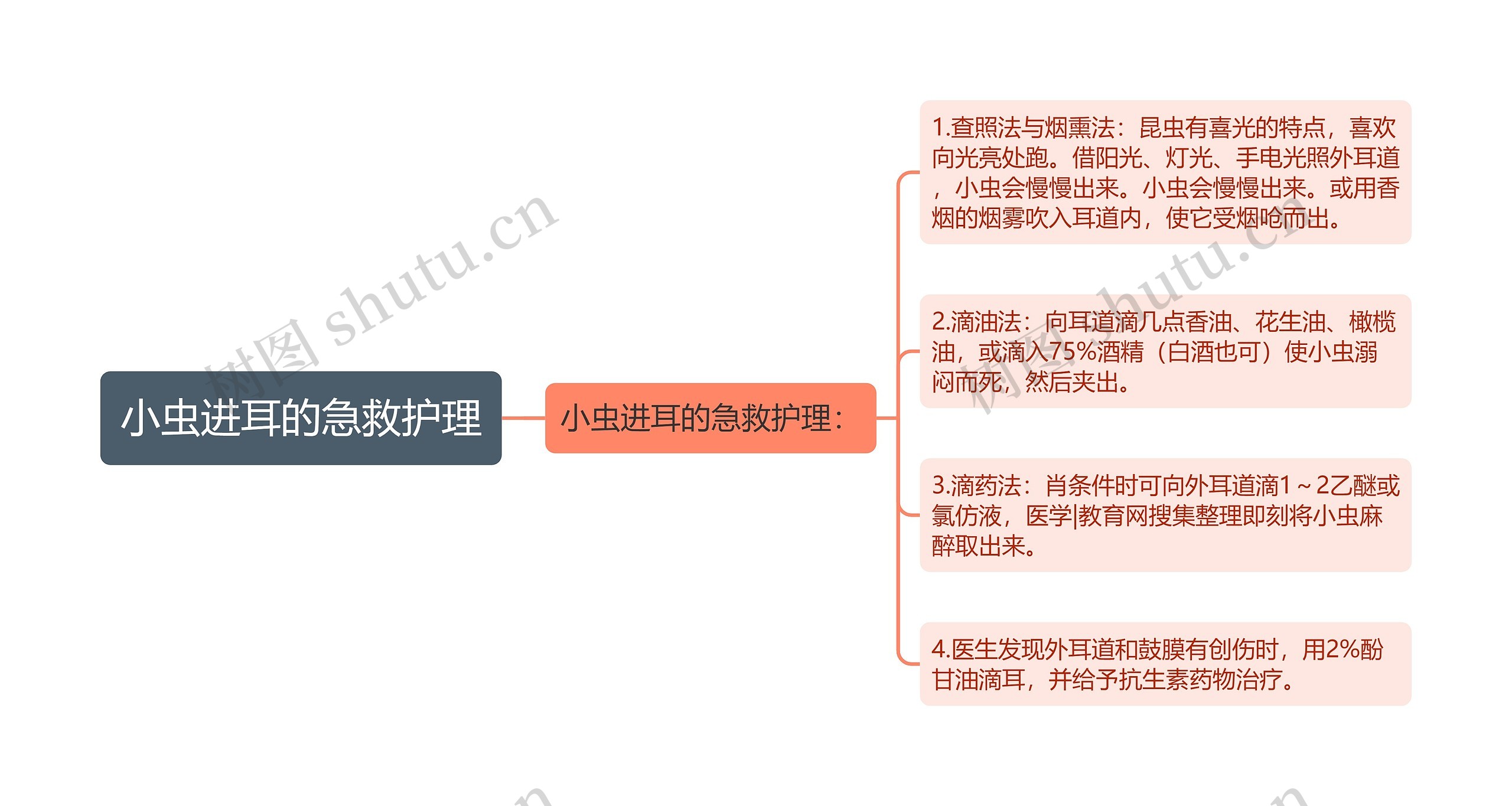 小虫进耳的急救护理思维导图