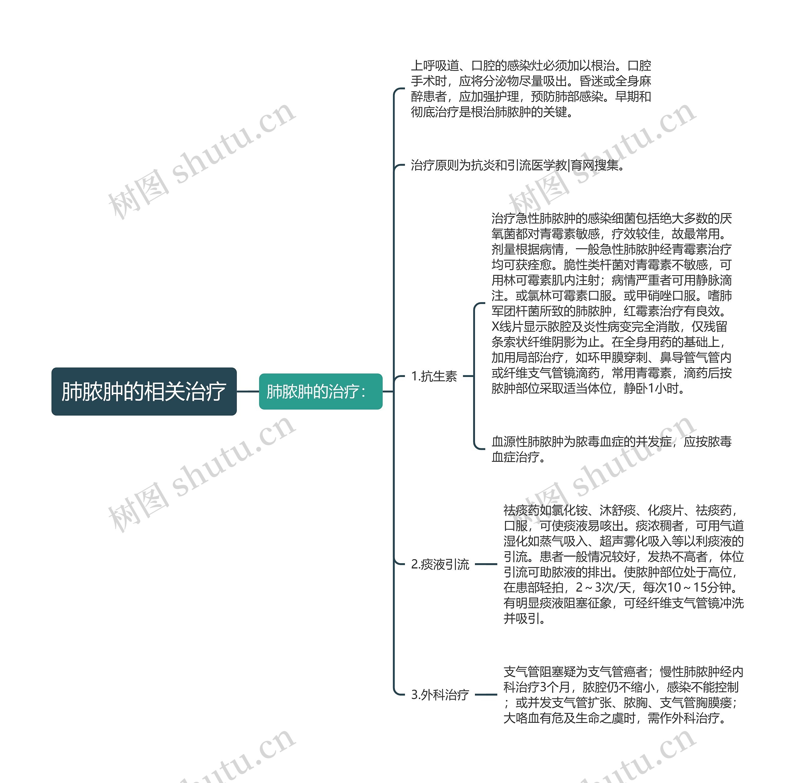 肺脓肿的相关治疗思维导图