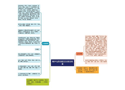 蝎子七的功能主治|用法用量