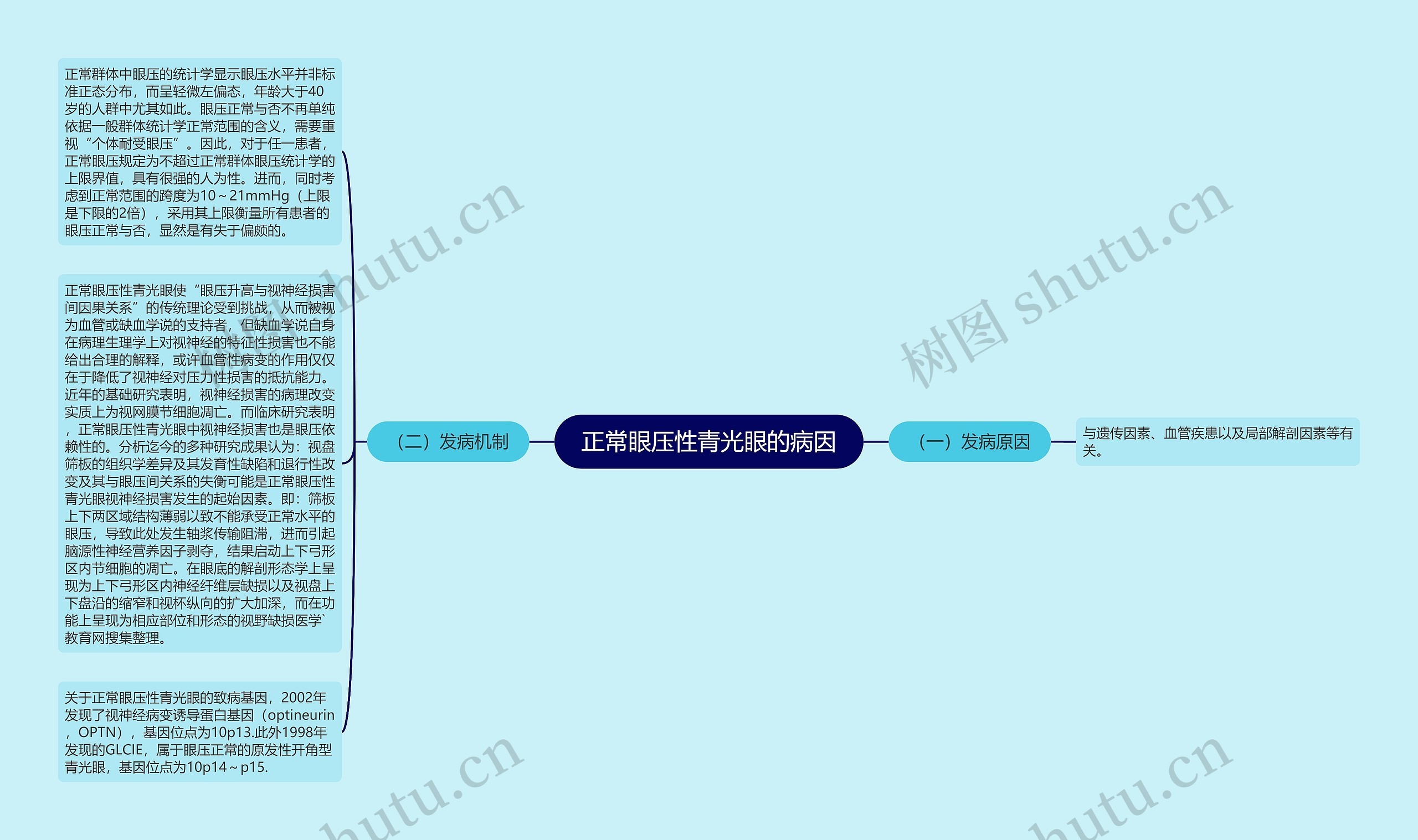 正常眼压性青光眼的病因思维导图