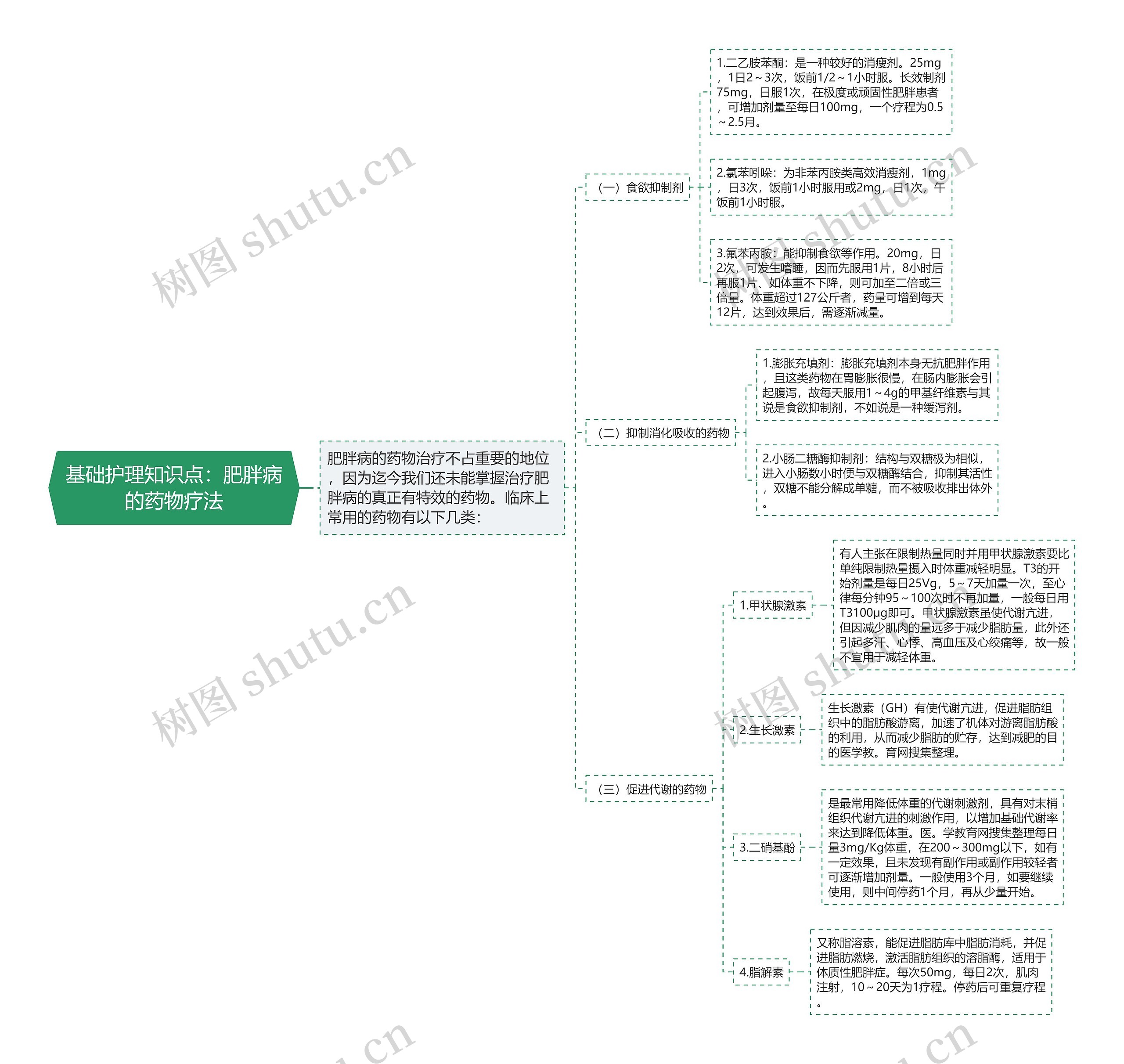 基础护理知识点：肥胖病的药物疗法思维导图