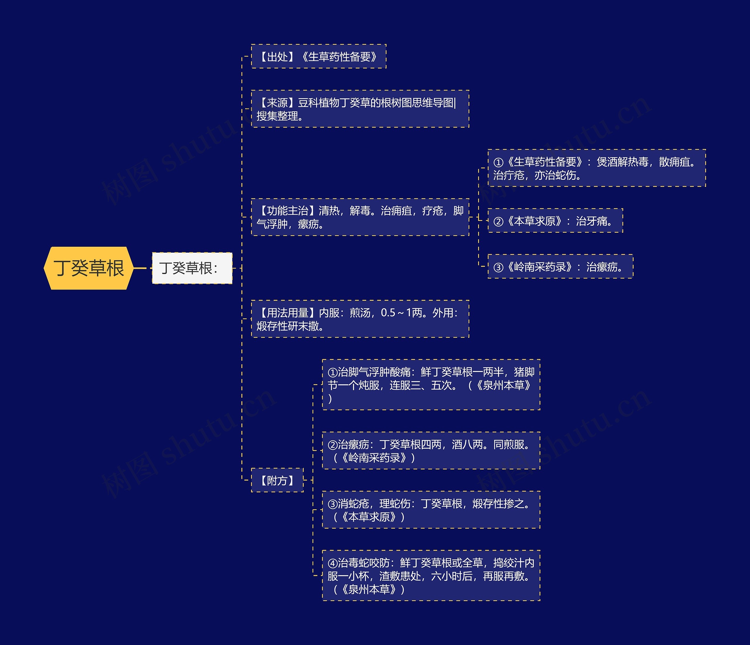 丁癸草根 丁癸草根