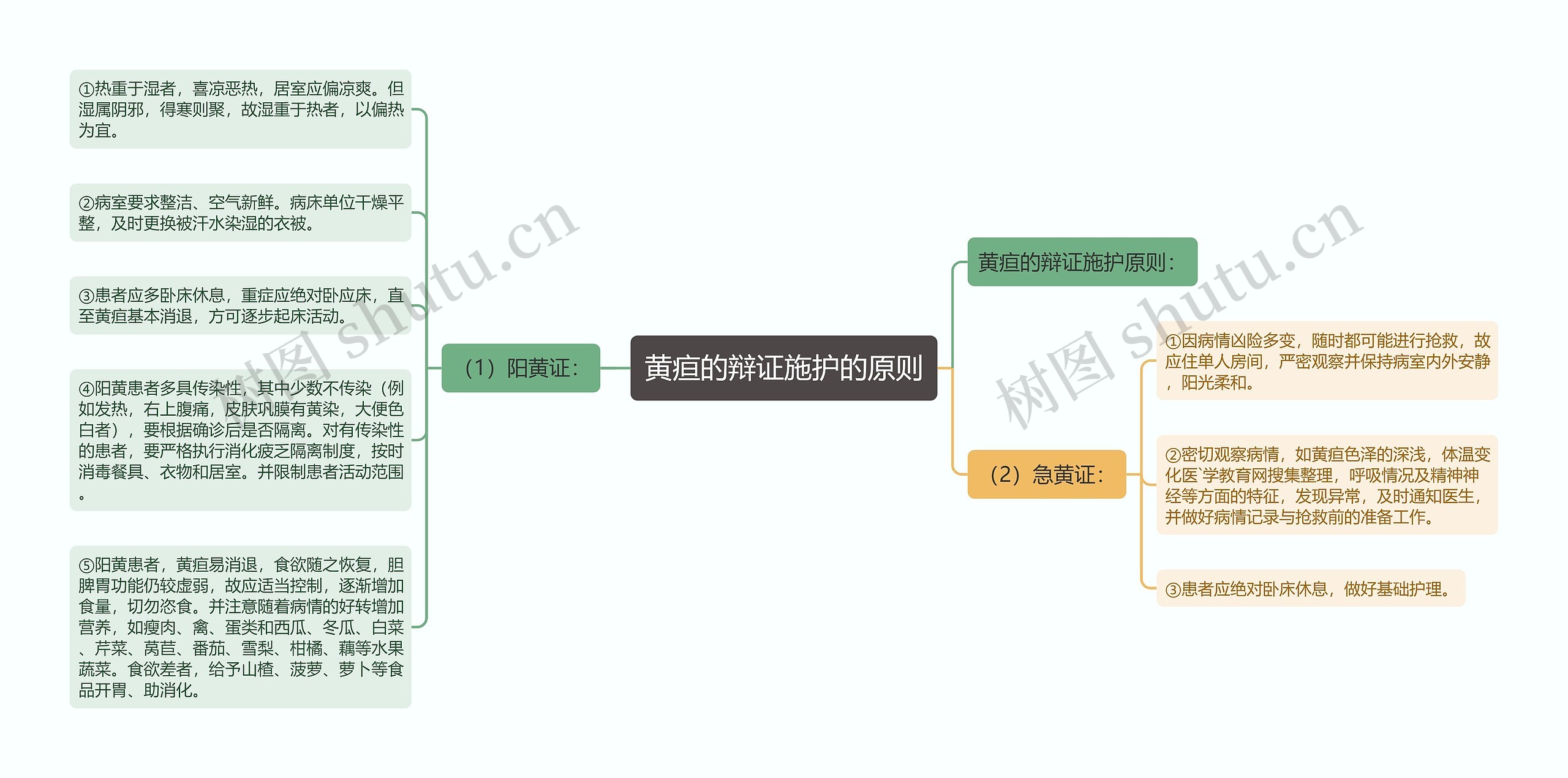 黄疸的辩证施护的原则思维导图