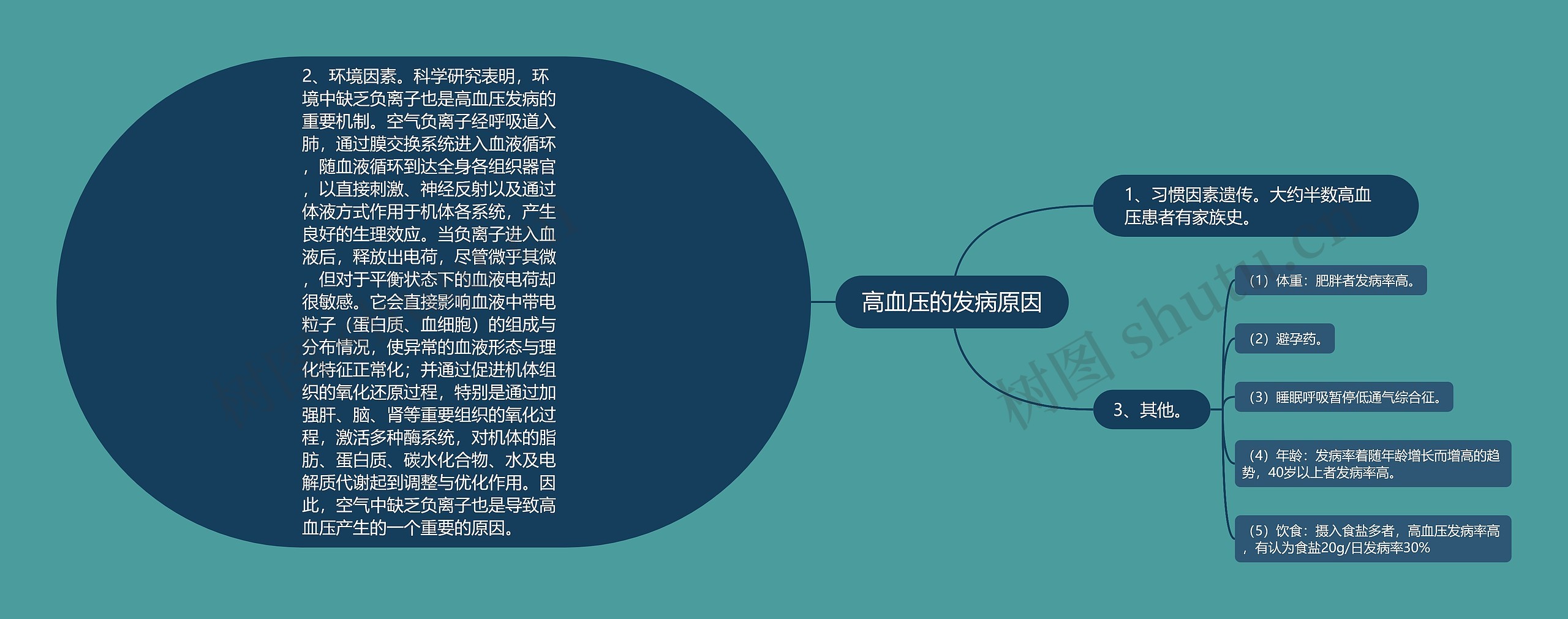 高血压的发病原因思维导图