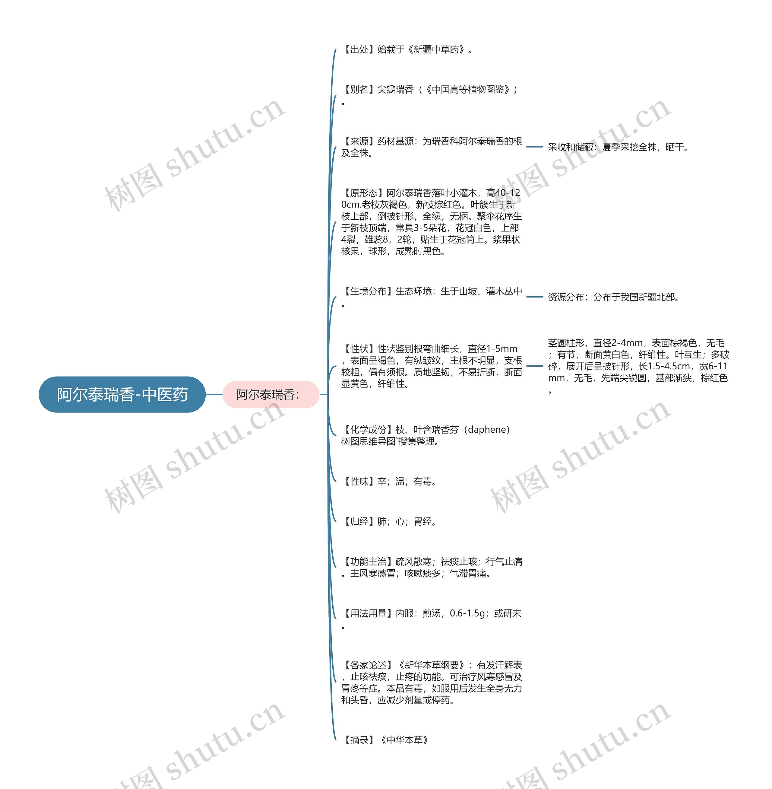阿尔泰瑞香-中医药思维导图